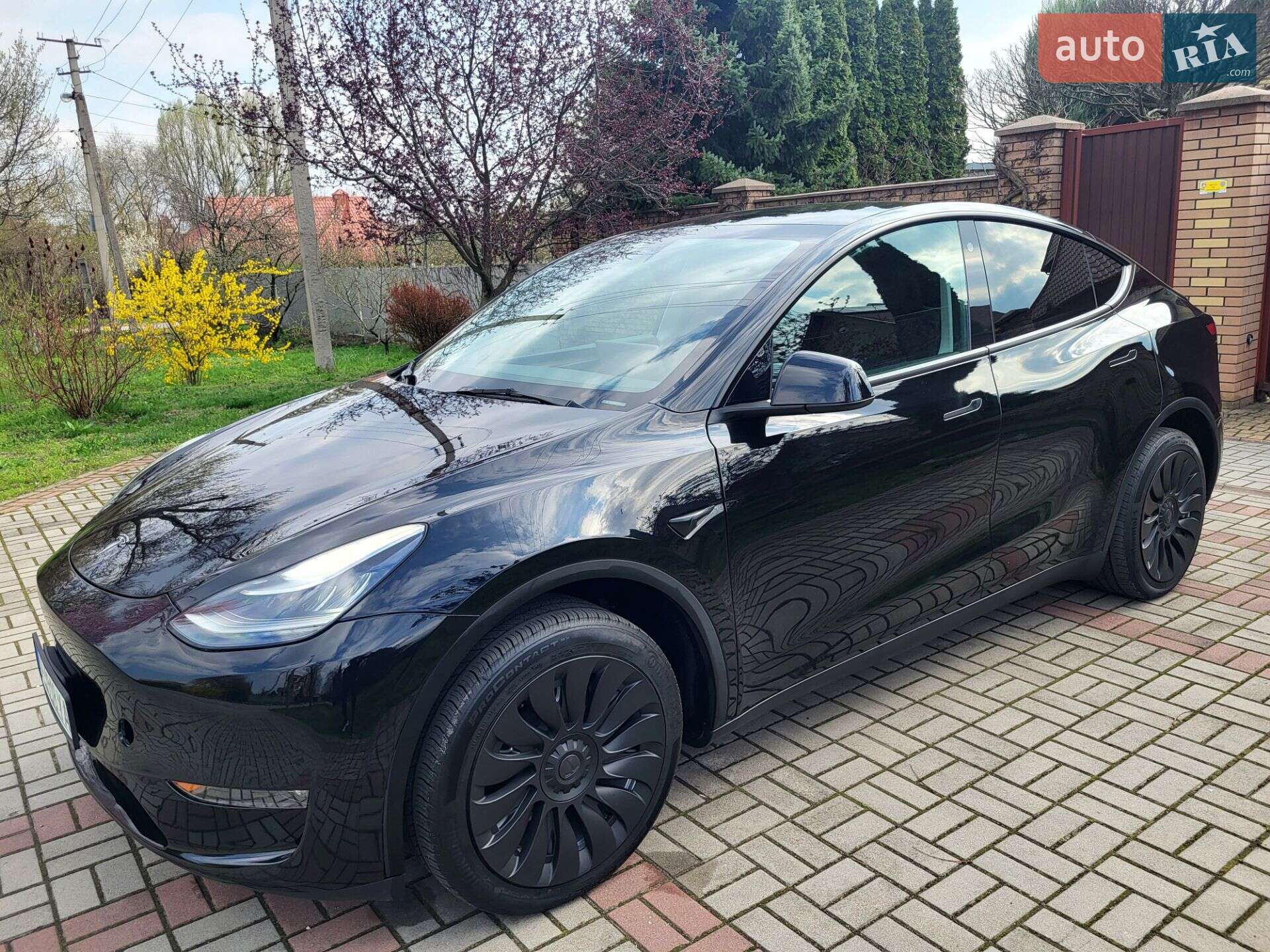 Головне фото звіту автомобіля TESLA MODEL Y 2023