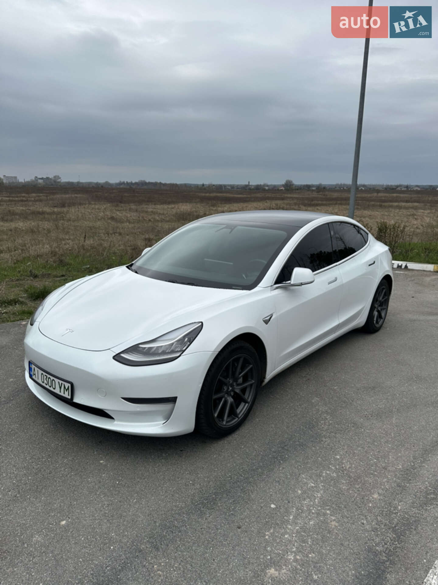 TESLA MODEL 3