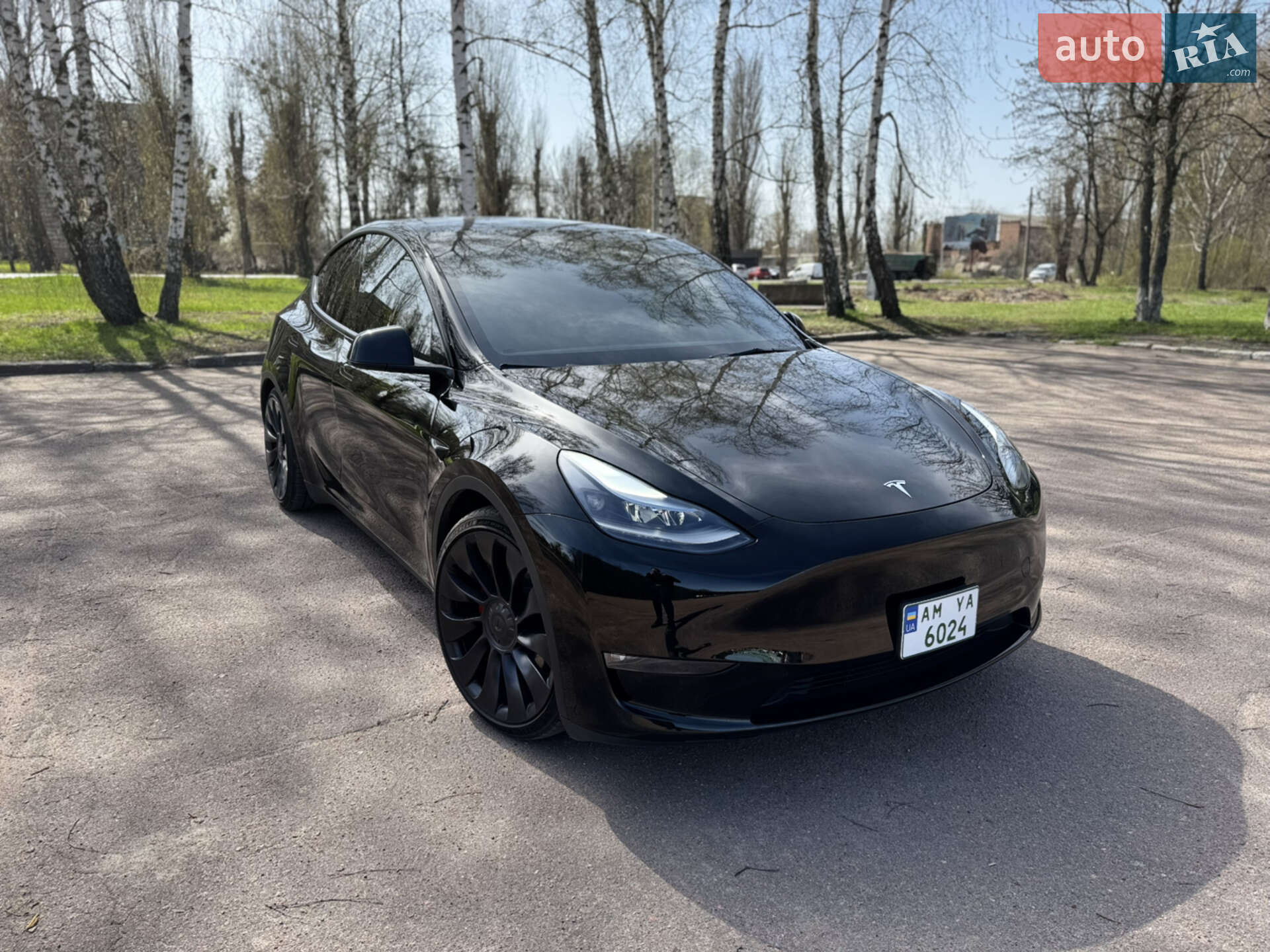 Головне фото звіту автомобіля TESLA MODEL Y 2023