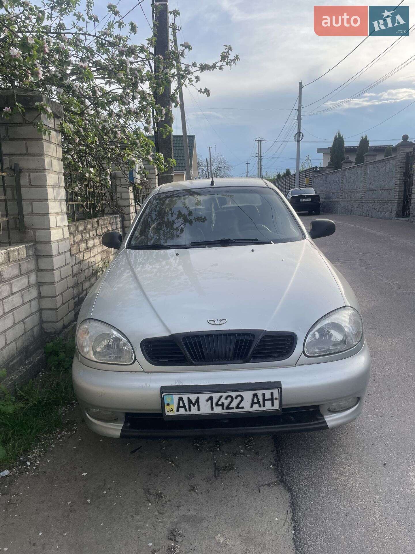 ЗАЗ T13110 2006