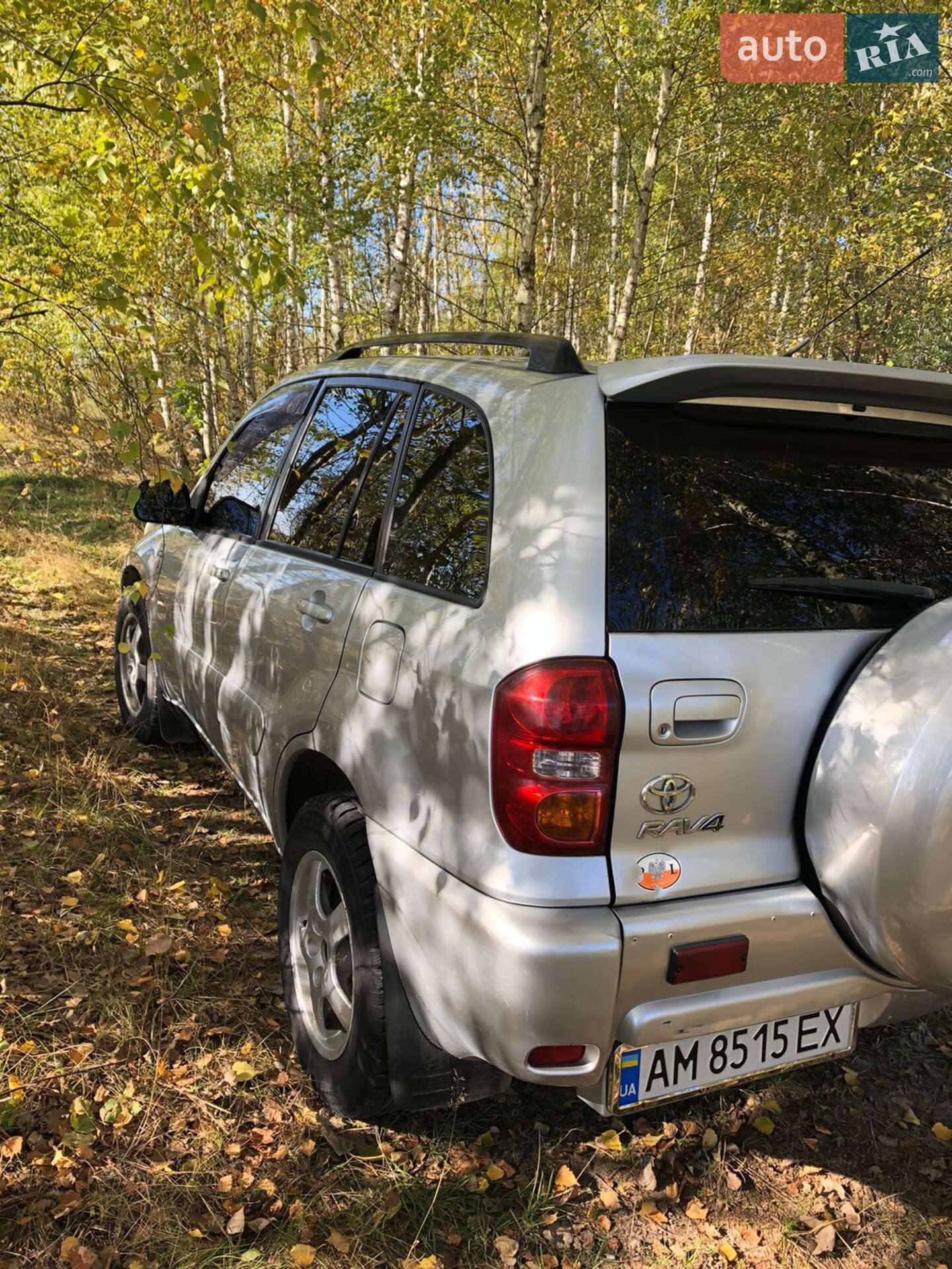 TOYOTA RAV4 2004