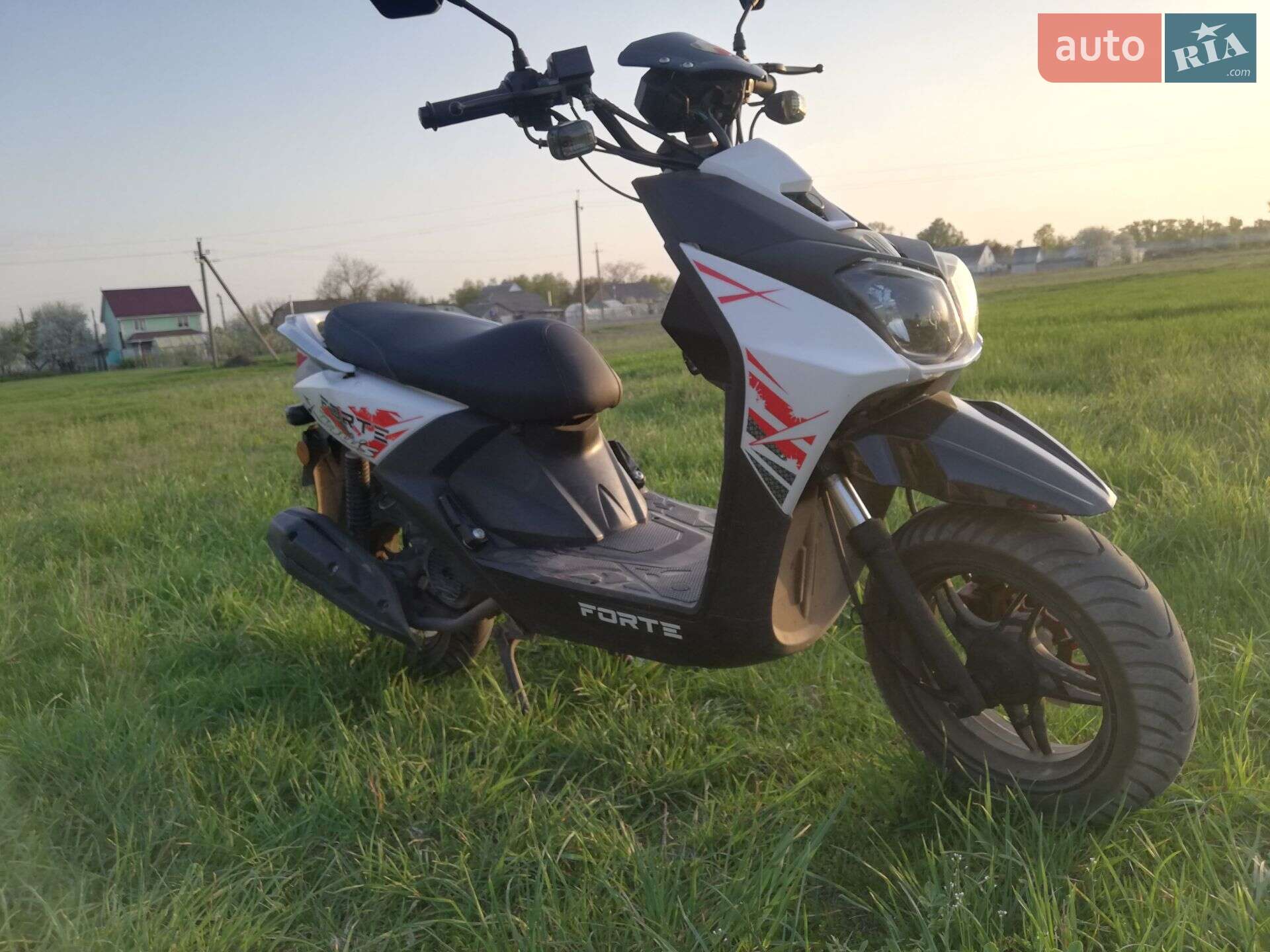 FORTE BWS-R 2020