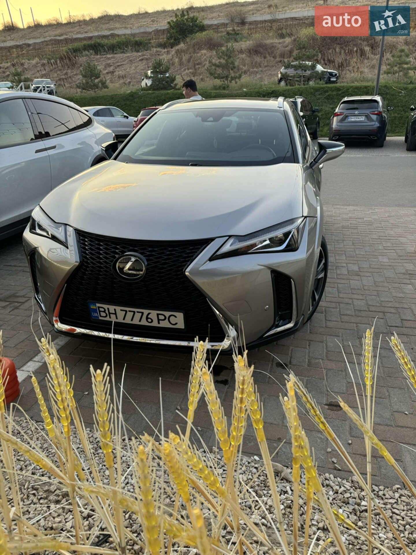 LEXUS UX 200 2019