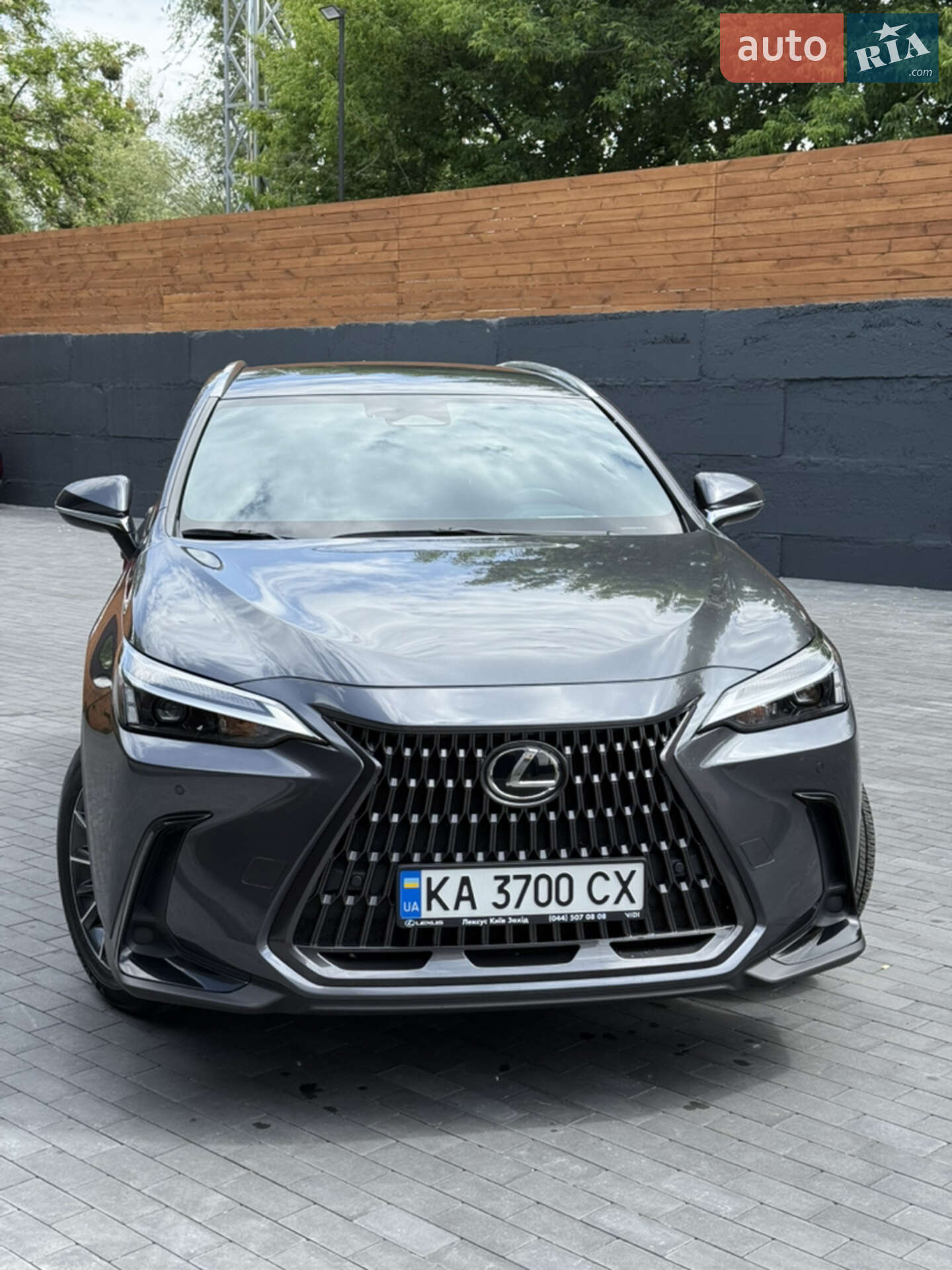 Lexus NX 2022