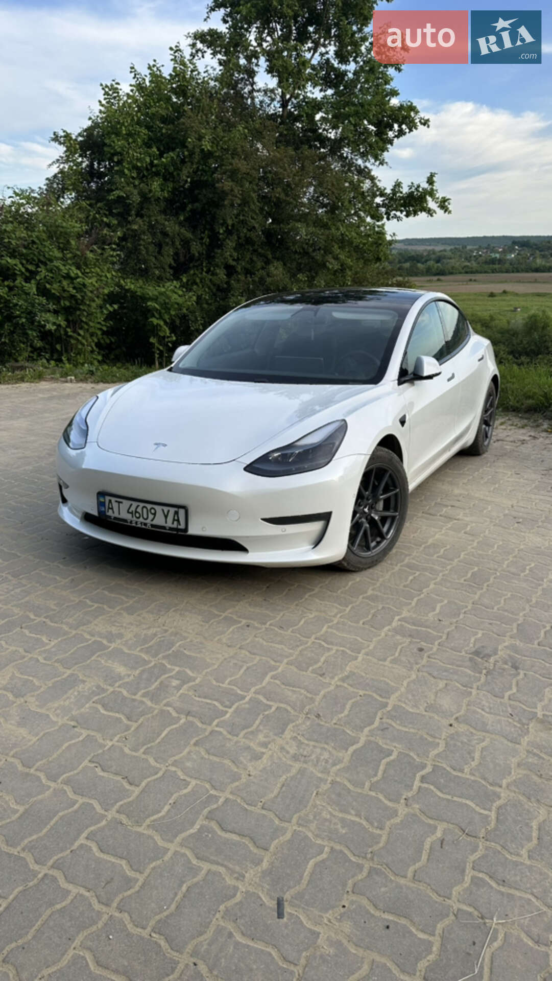 Головне фото звіту автомобіля TESLA MODEL 3 2021