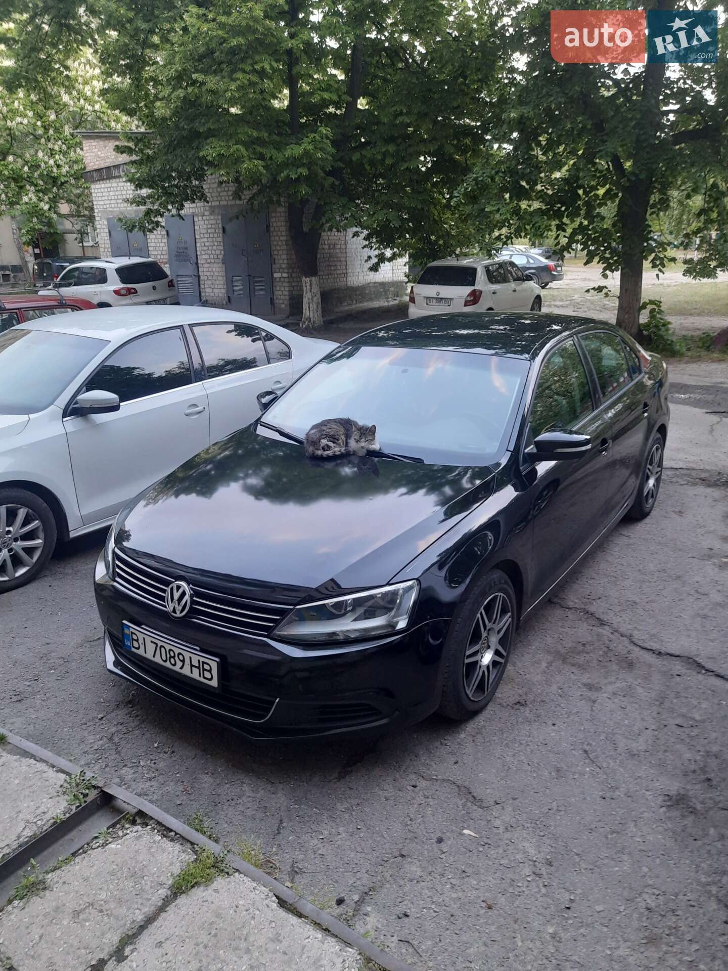 VOLKSWAGEN JETTA 2011