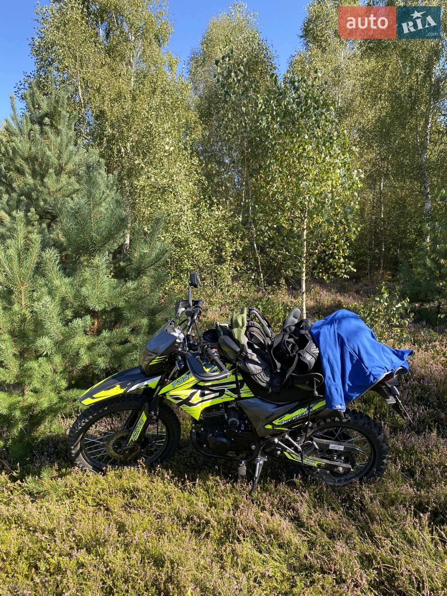 FORTE CROSS 300 2023