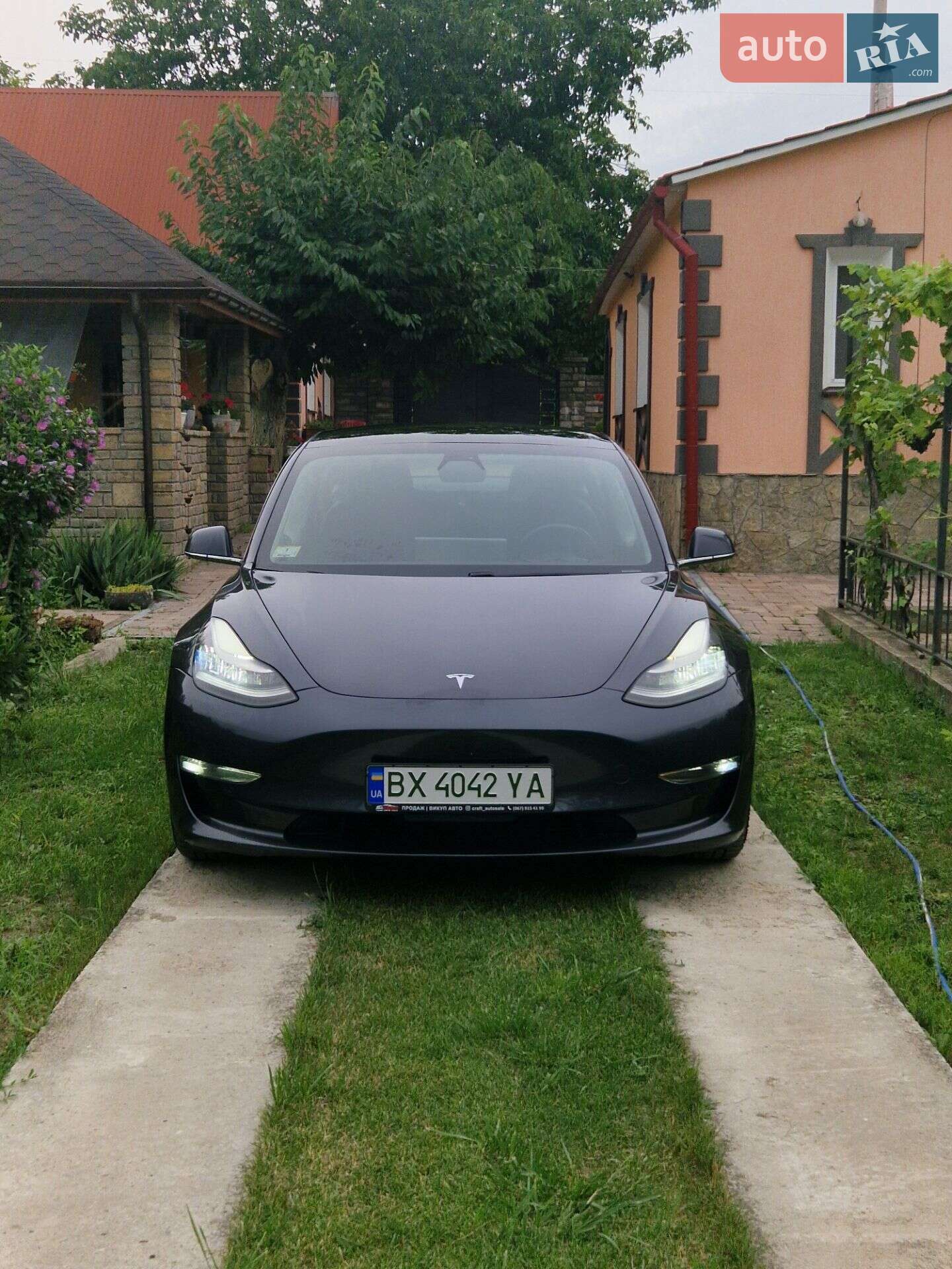 Головне фото звіту автомобіля TESLA MODEL 3 2019