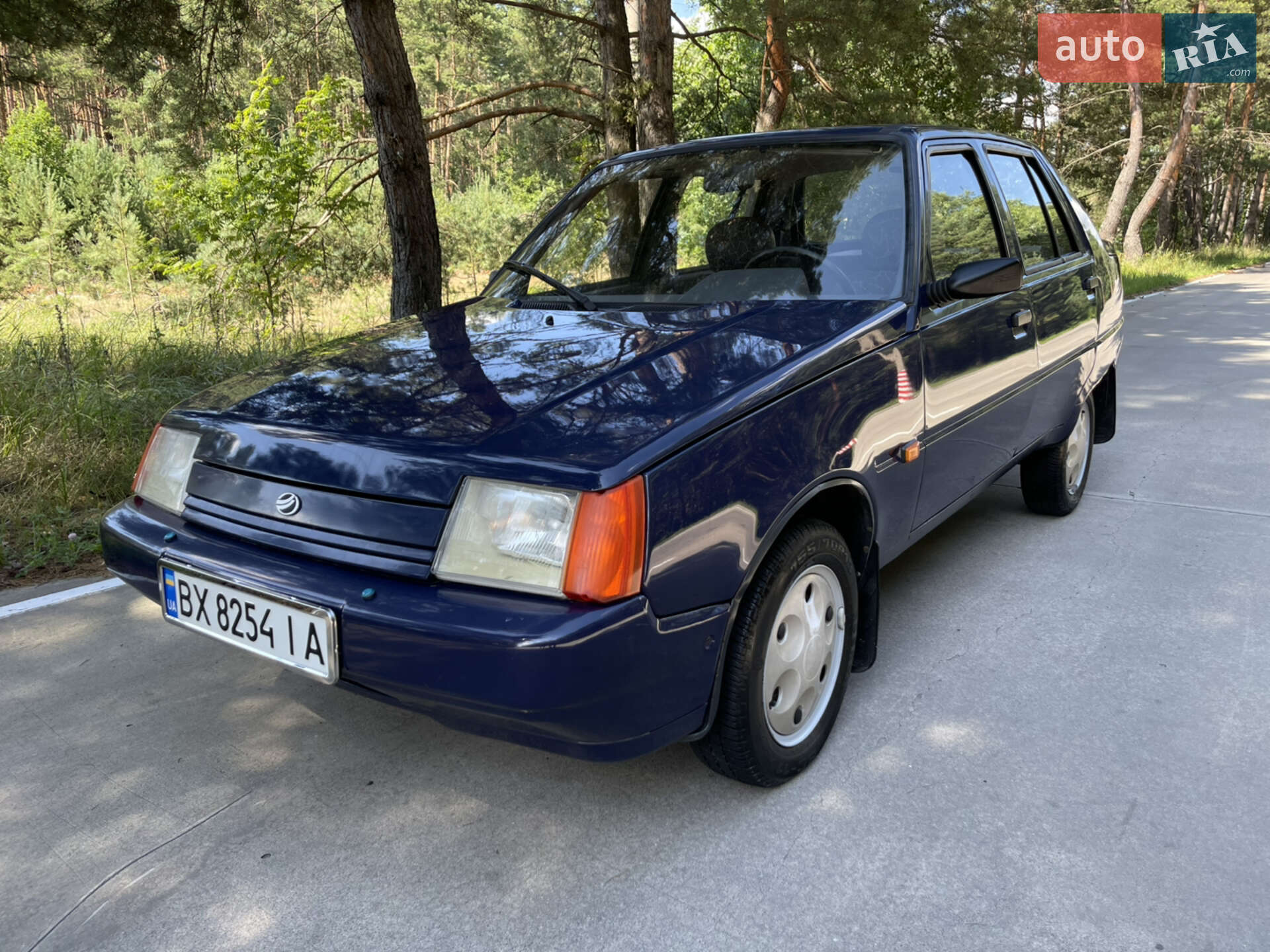 ЗАЗ 110308-44 2010