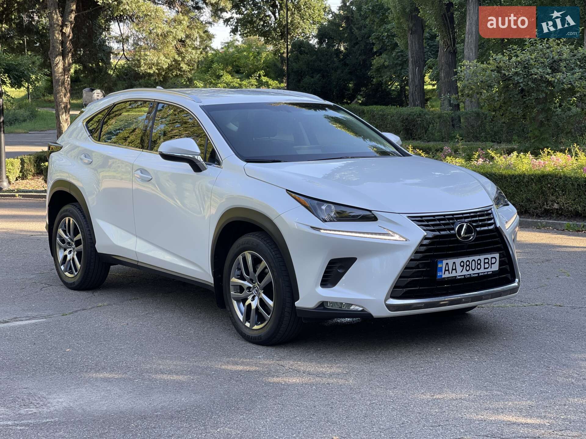 LEXUS NX 200 2019
