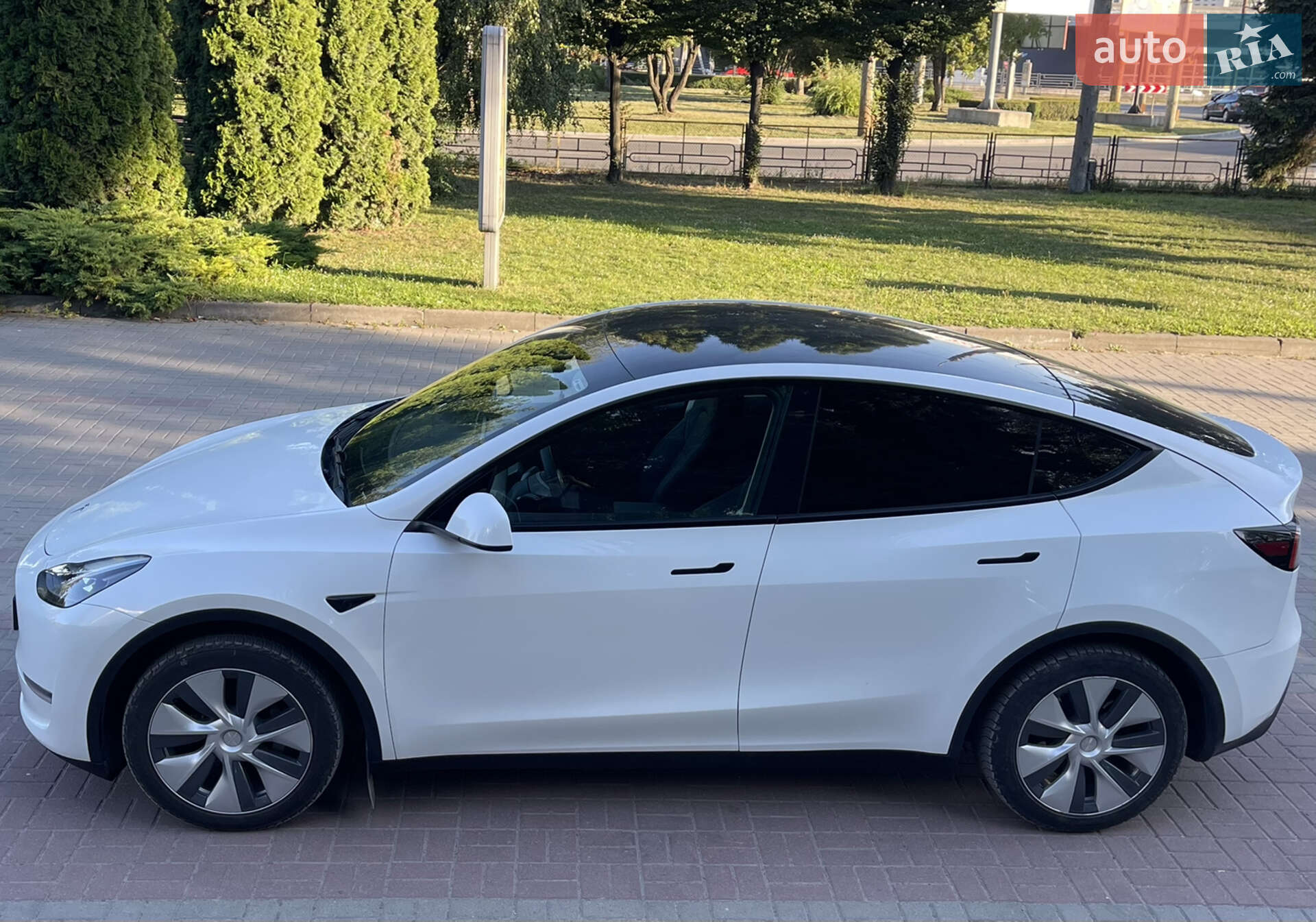 Головне фото звіту автомобіля TESLA MODEL Y 2023