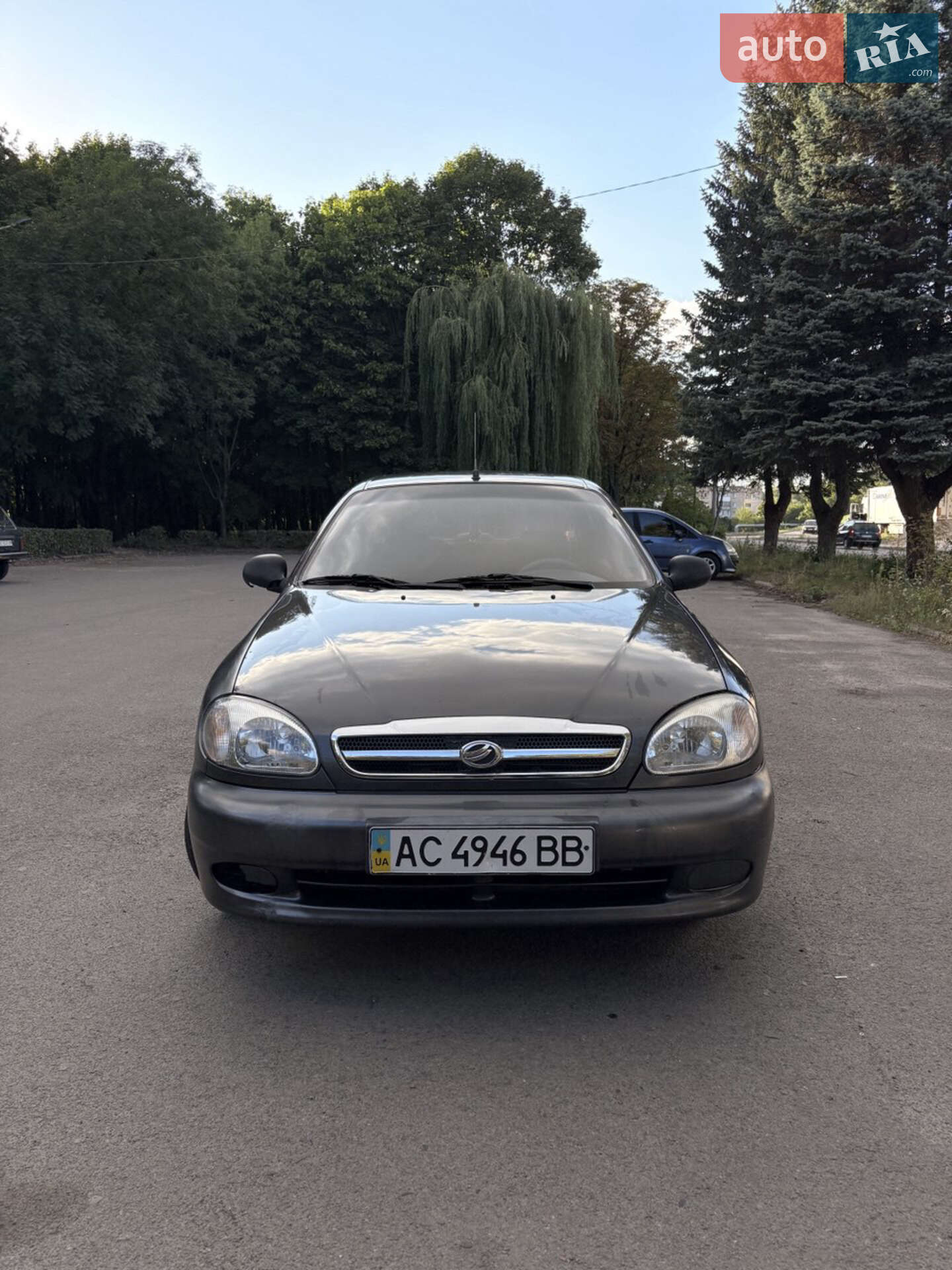 ЗАЗ TF69Y0 2011