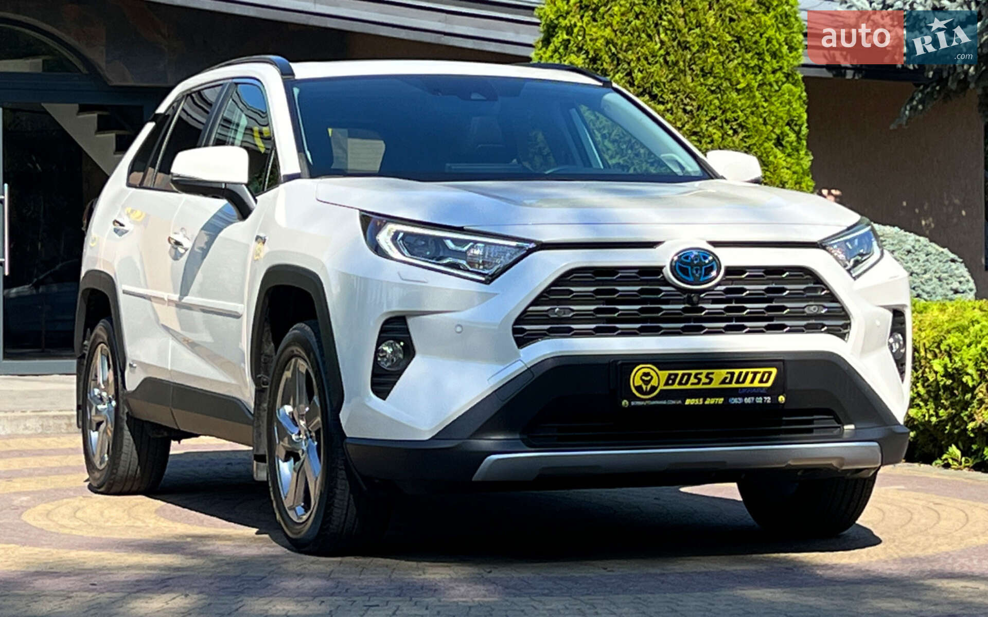 TOYOTA RAV4 2019
