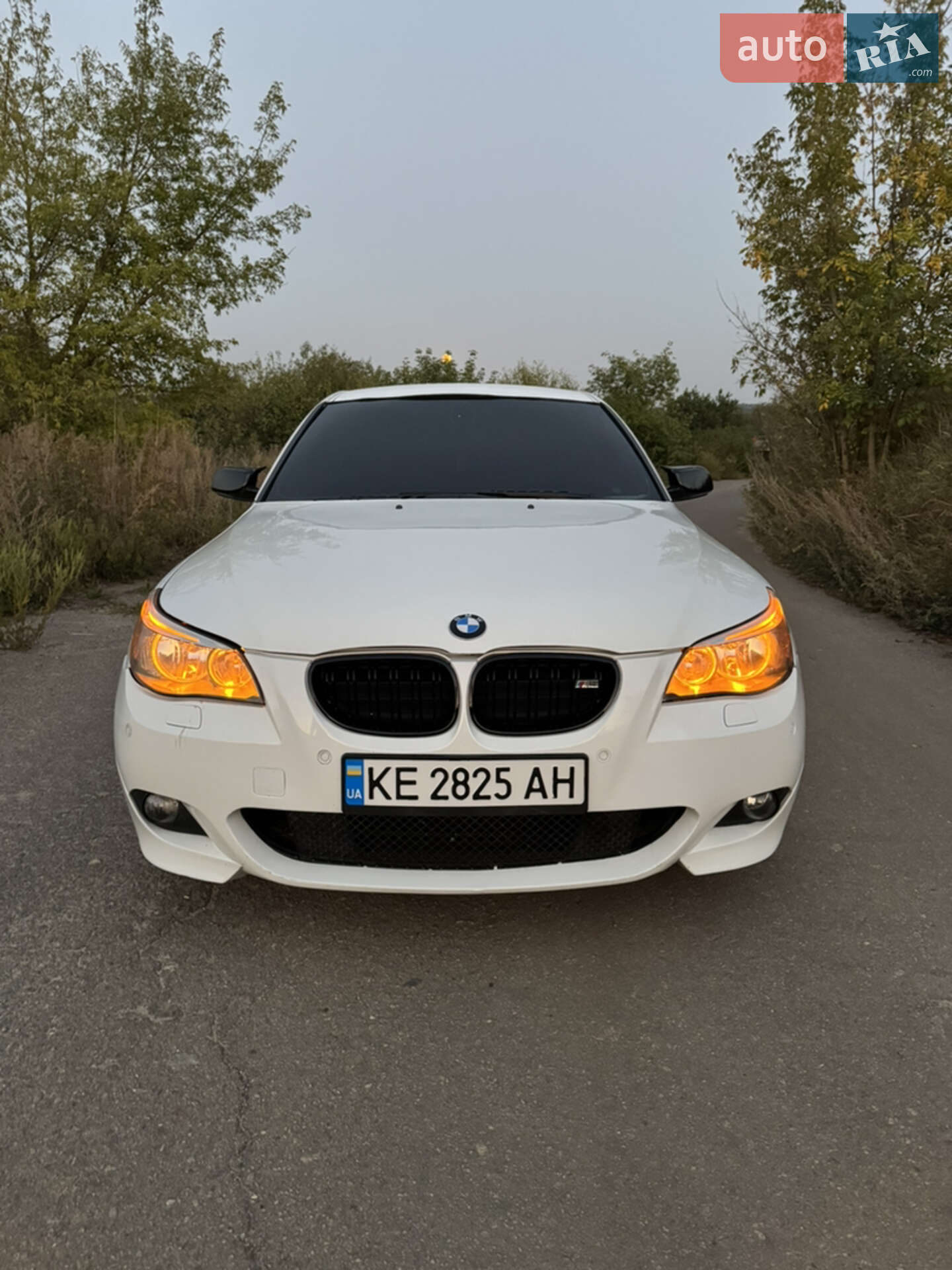 BMW 5 Series 2004