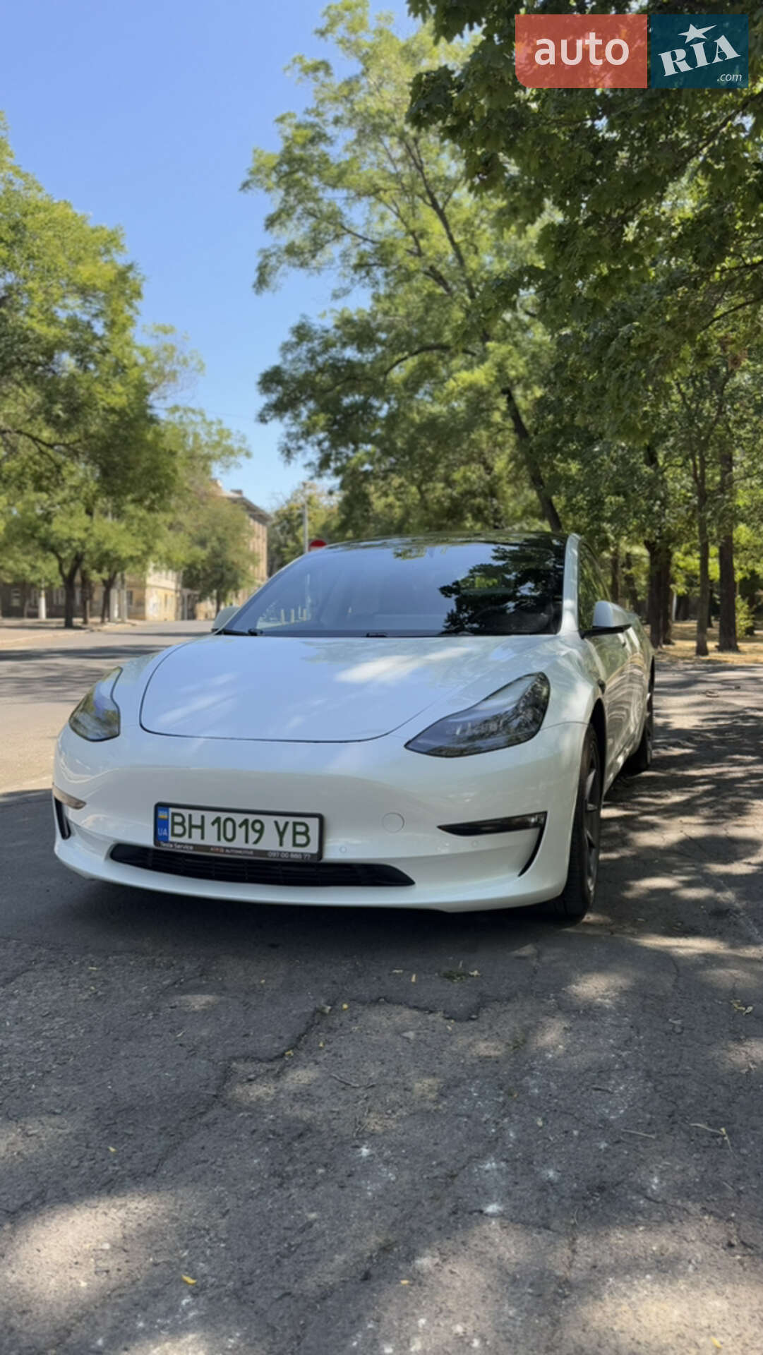 Головне фото звіту автомобіля TESLA MODEL 3 2021
