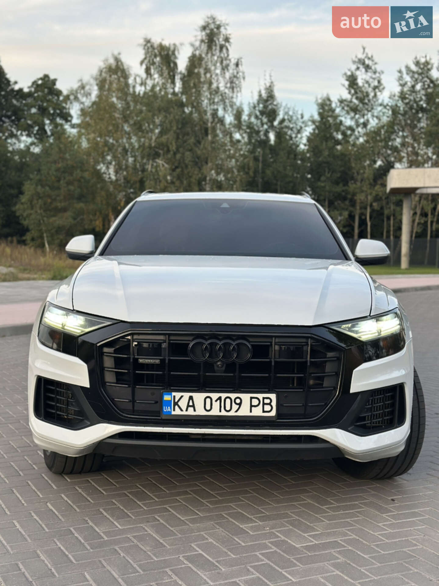 AUDI Q8 2019
