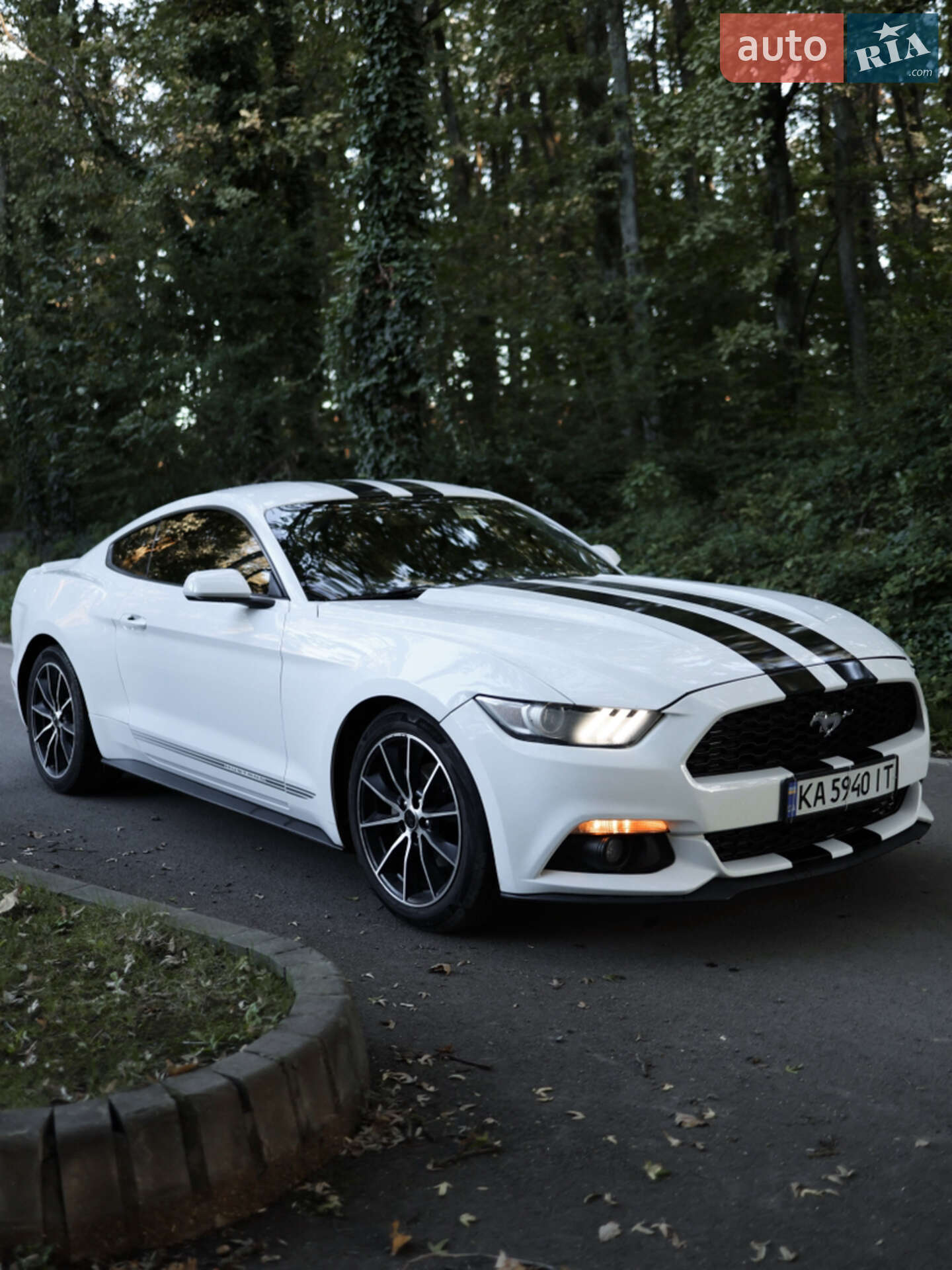 FORD MUSTANG 2015