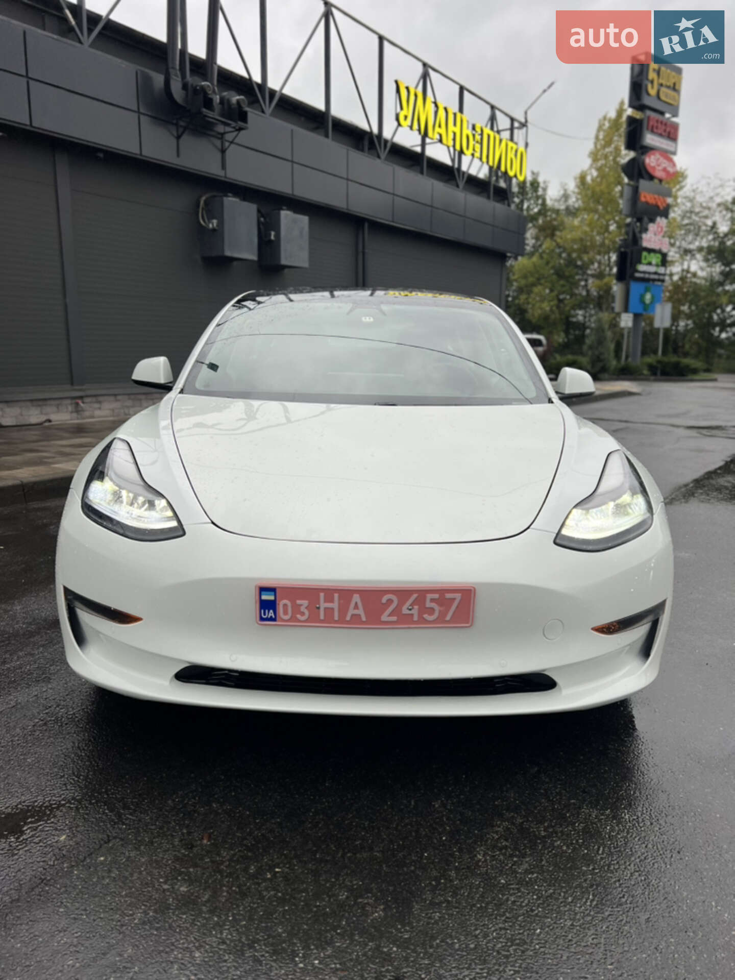 TESLA MODEL 3 2021