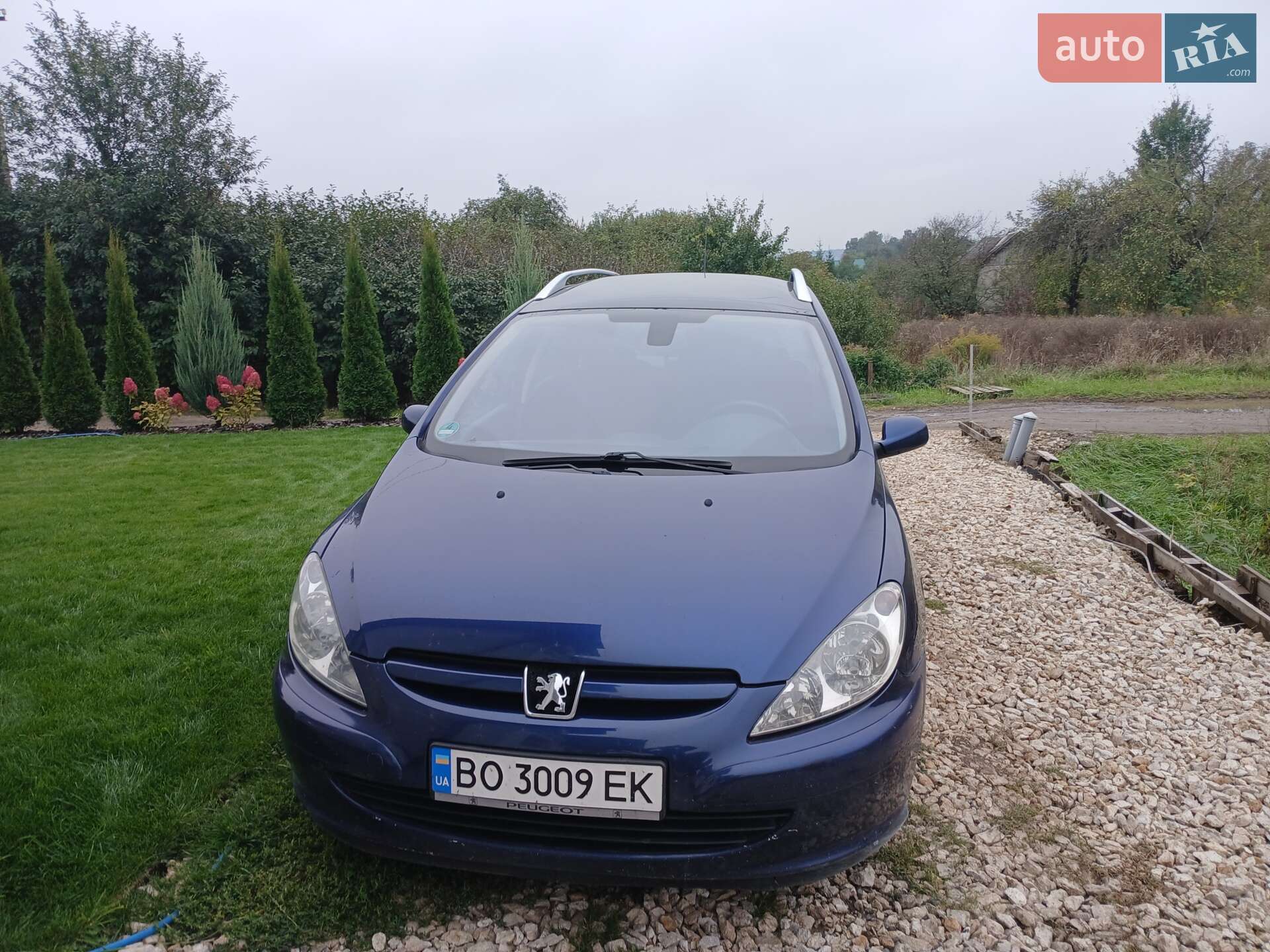 Peugeot 307 2002
