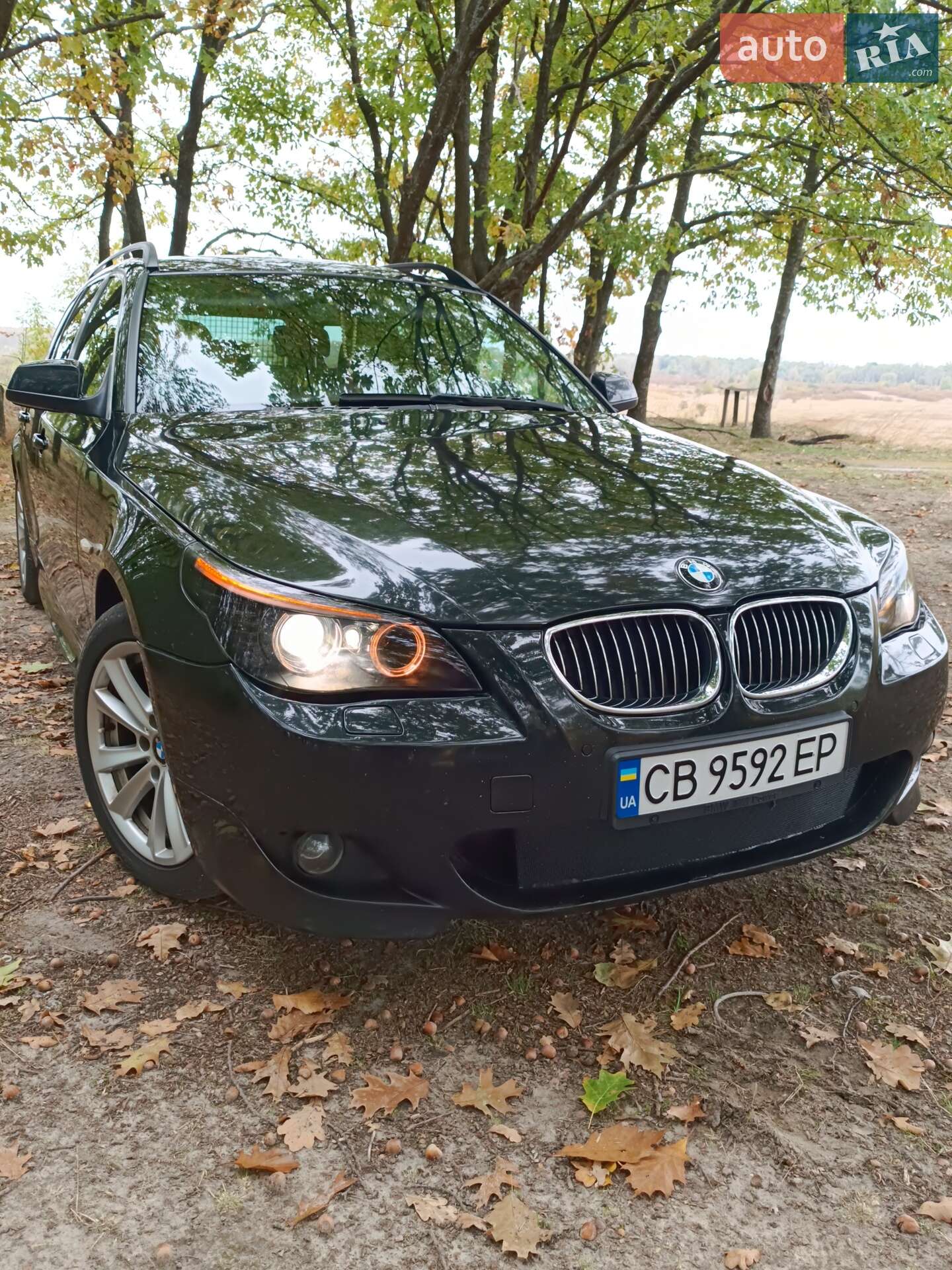 BMW 520 2010