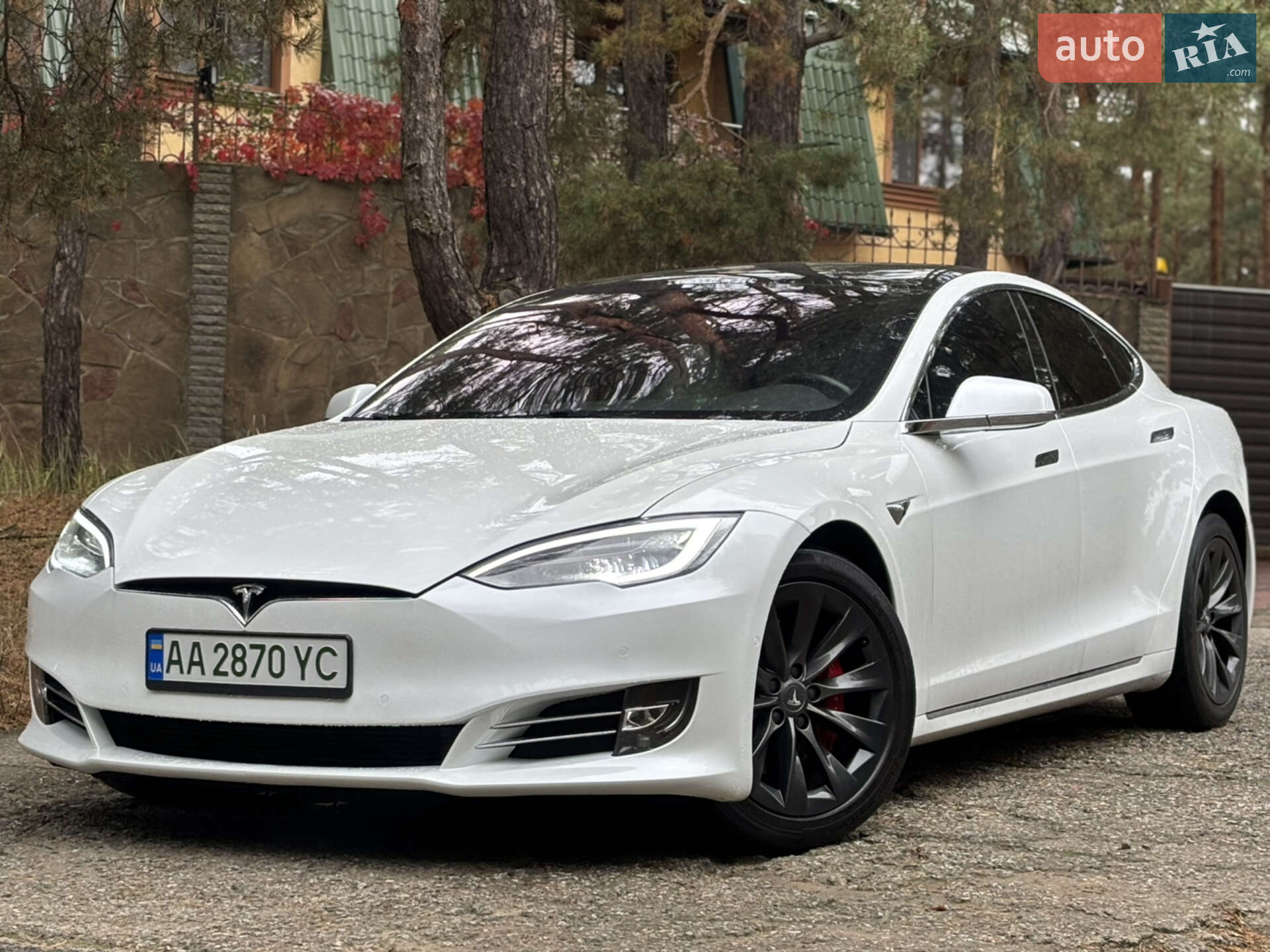 TESLA MODEL S 2019
