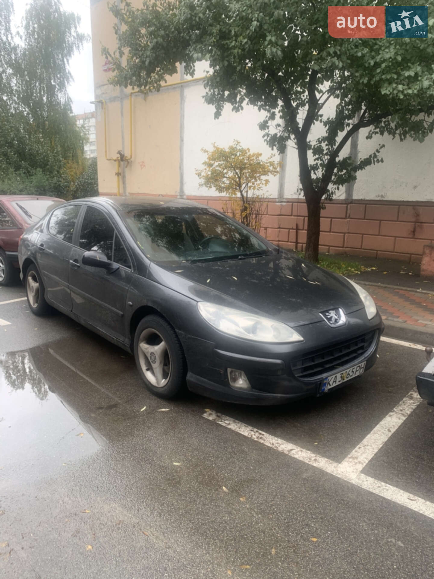 Peugeot 407 2007