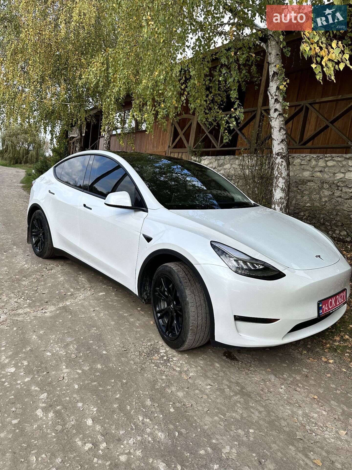 Головне фото звіту автомобіля TESLA MODEL Y 2023