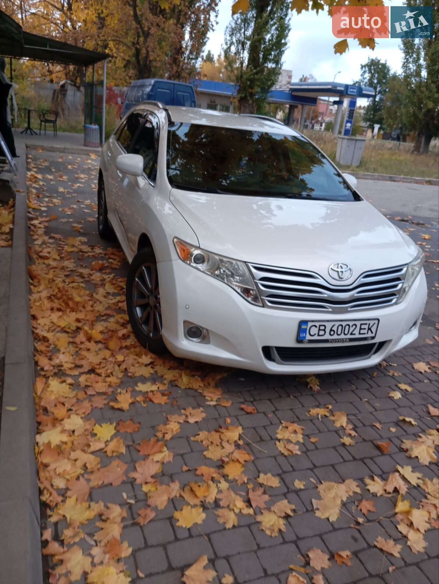 TOYOTA VENZA 2010