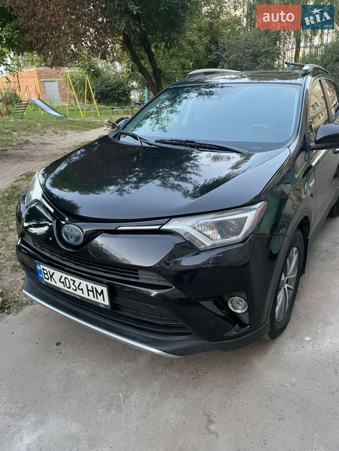 Головне фото звіту автомобіля TOYOTA RAV4 2016