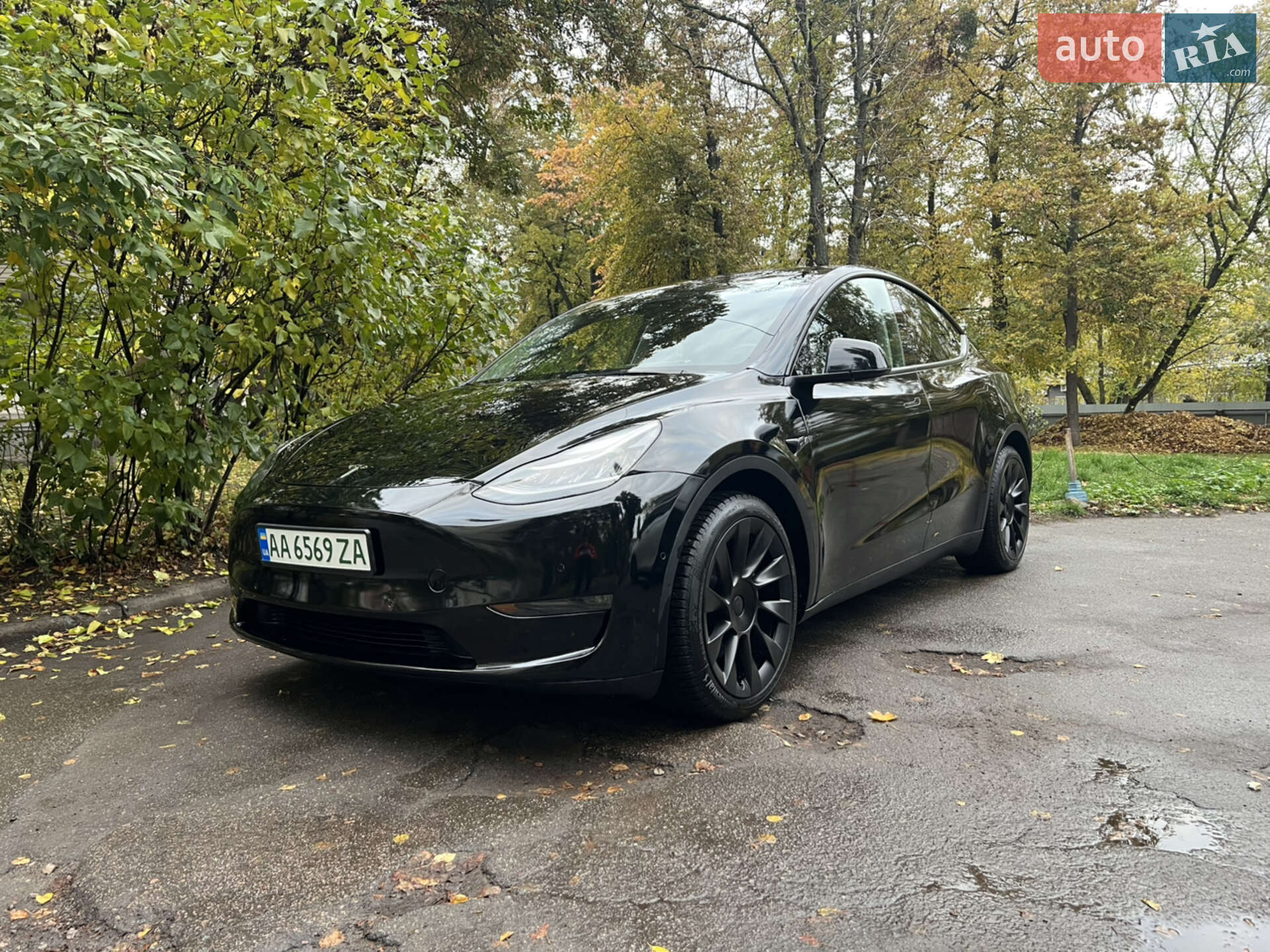 Головне фото звіту автомобіля TESLA MODEL Y 2022