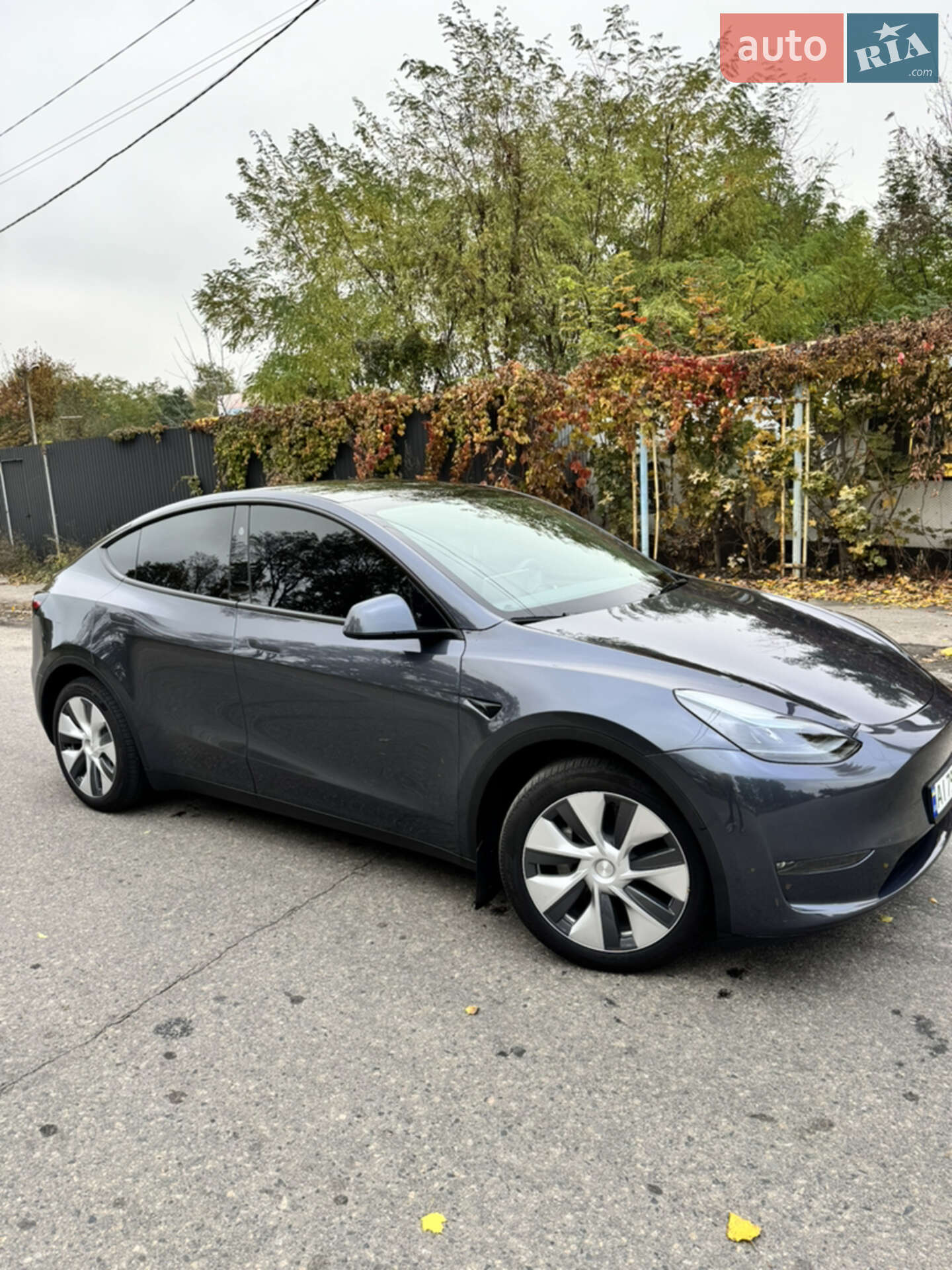 Головне фото звіту автомобіля TESLA MODEL Y 2023