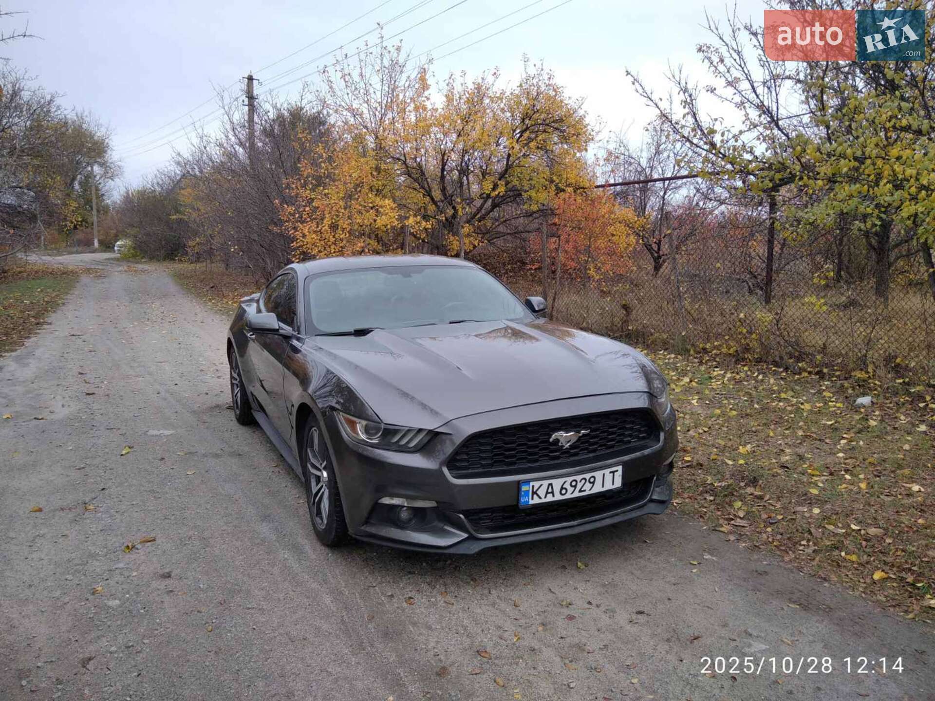 Головне фото звіту автомобіля FORD MUSTANG 2014