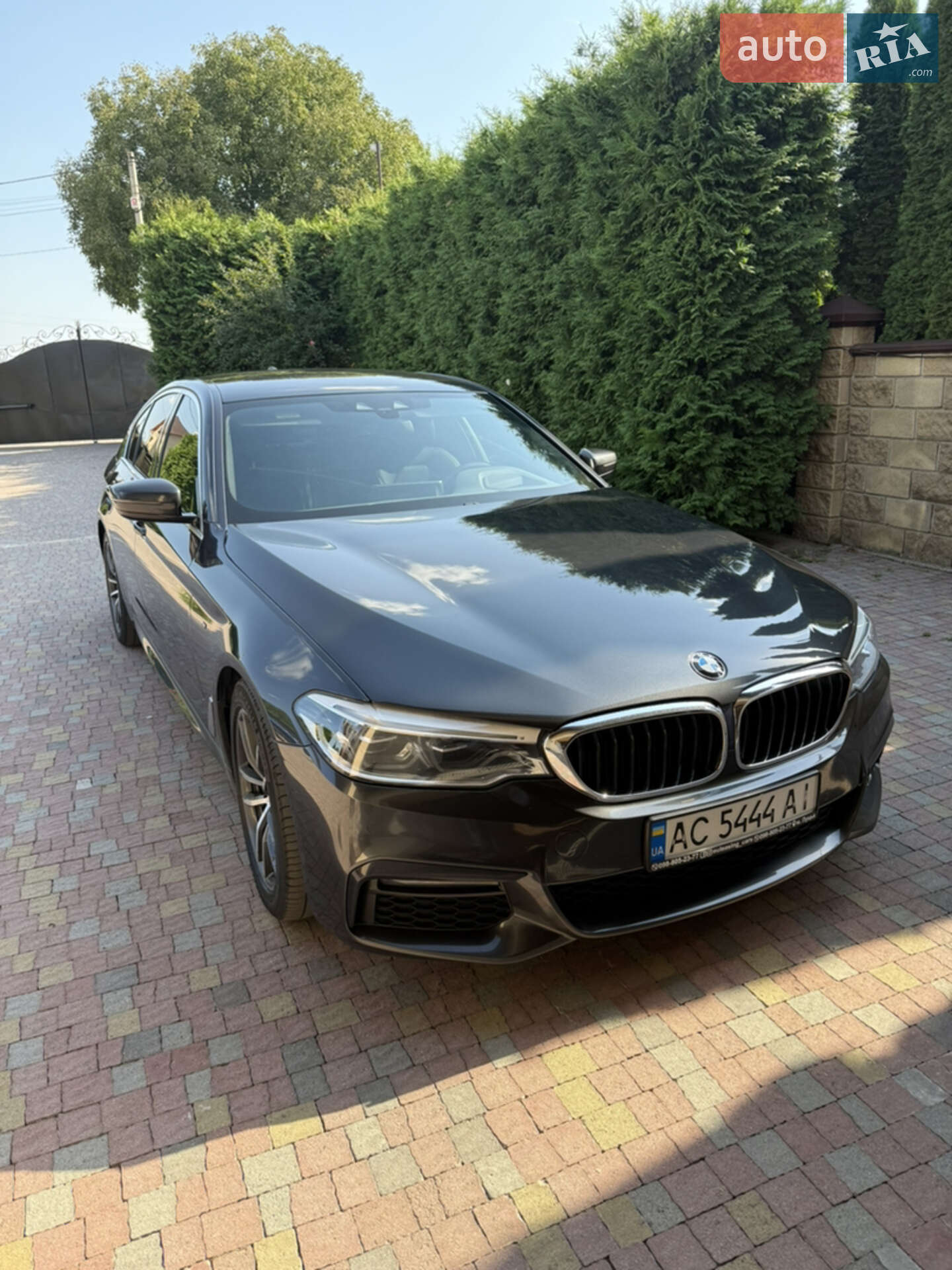 BMW 530 2019
