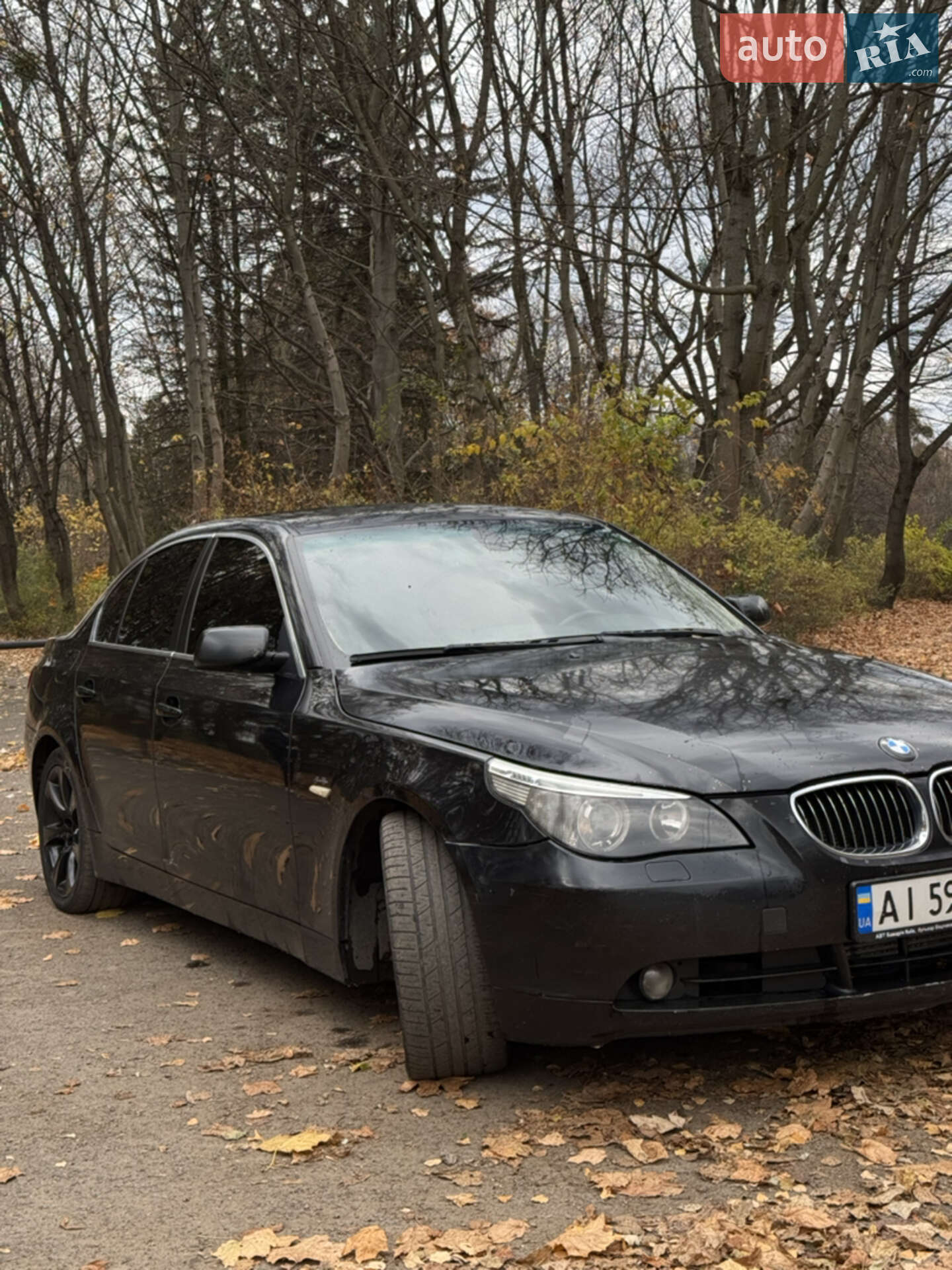 BMW 5 Series 2006