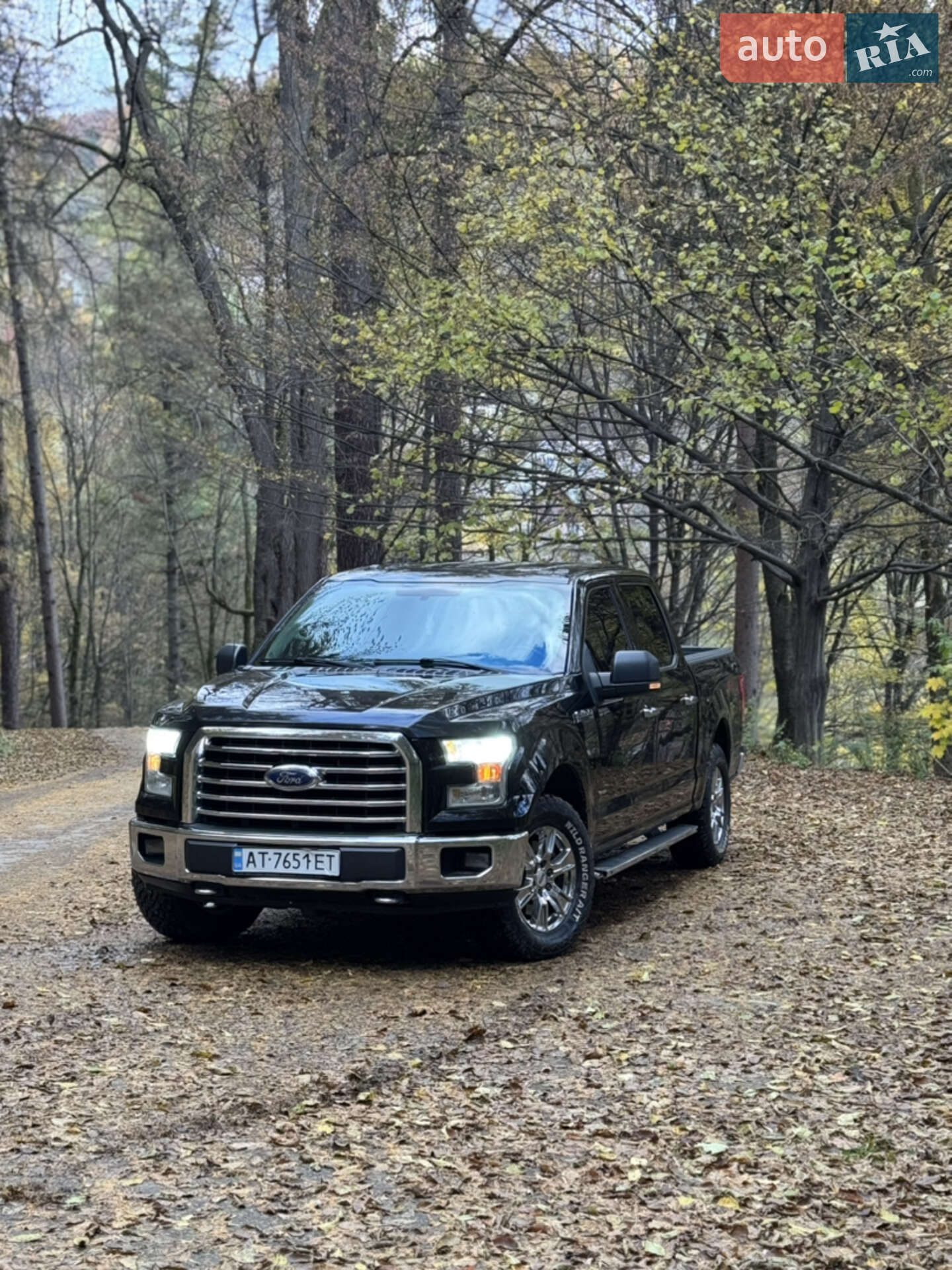 Головне фото звіту автомобіля FORD F 150 2015