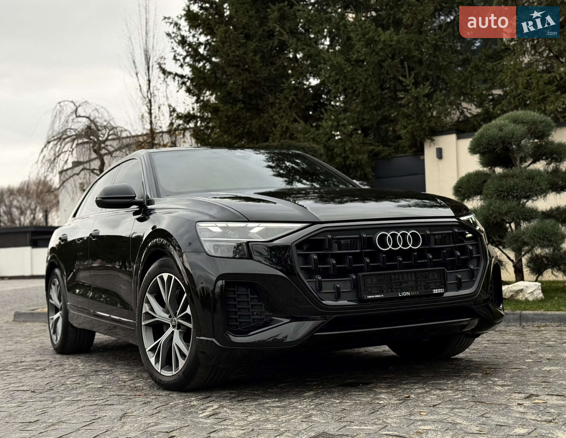 AUDI Q8 2023