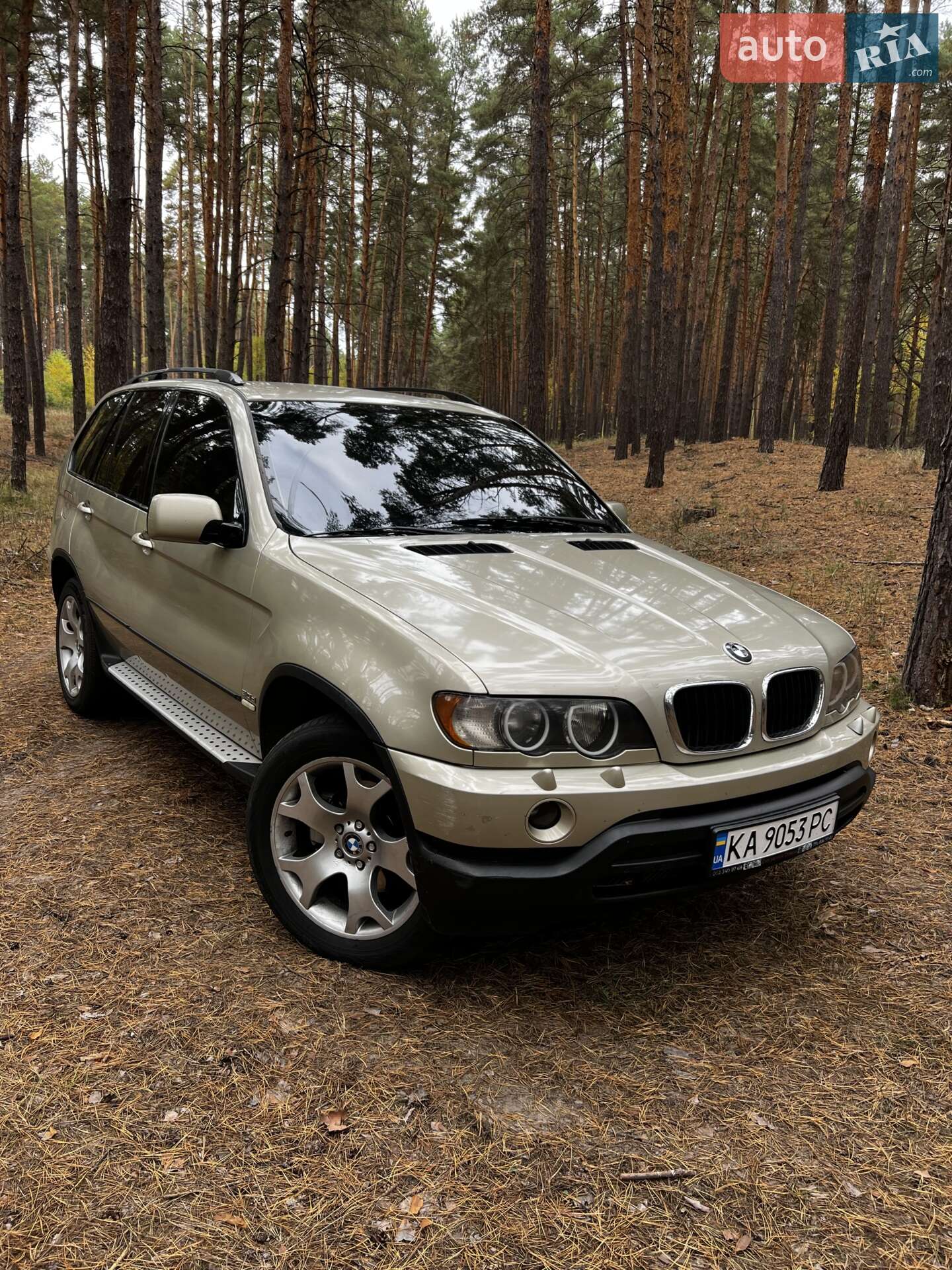 BMW X5 2001