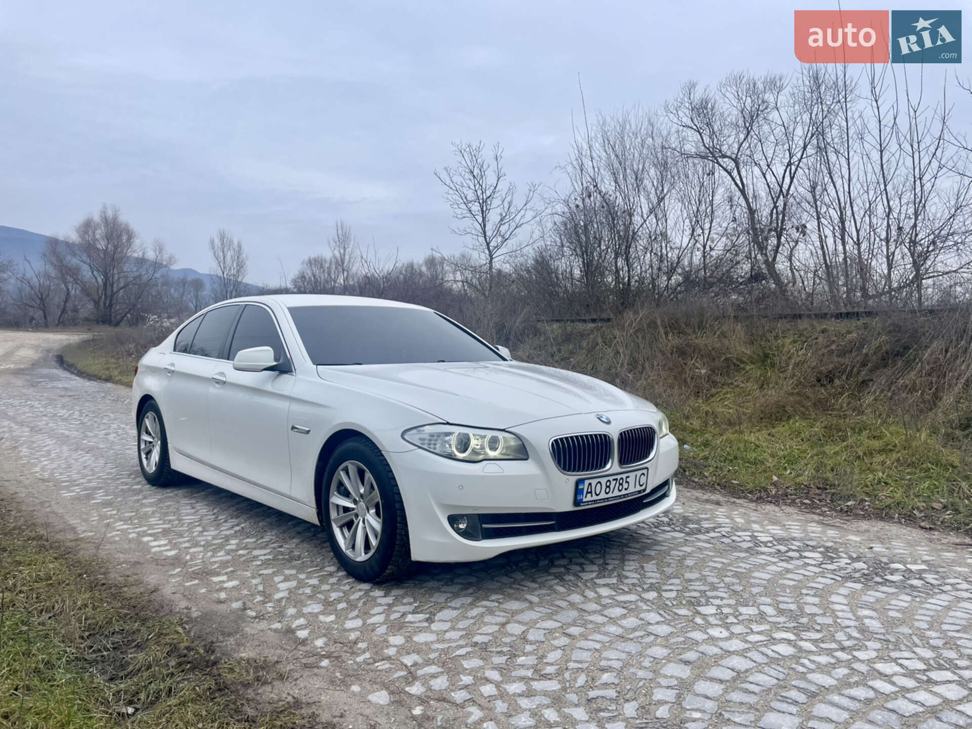 BMW 520 2012