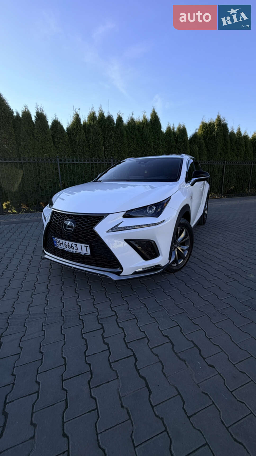 Головне фото звіту автомобіля LEXUS NX 300 2021