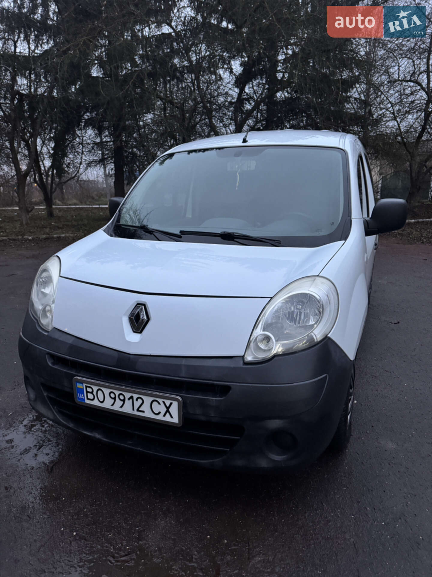 RENAULT KANGOO 2009