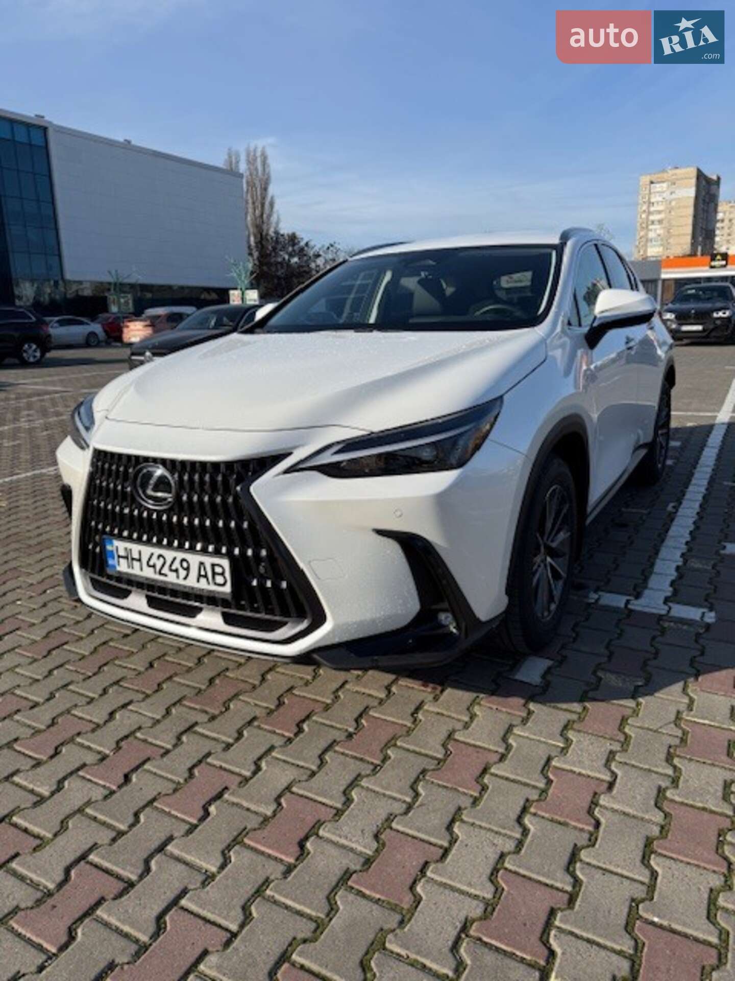 LEXUS NX 350H 2024