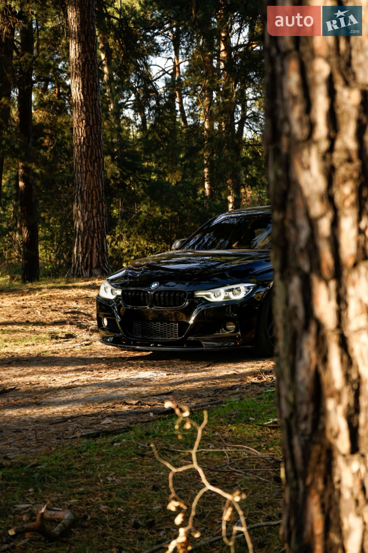 BMW 335I