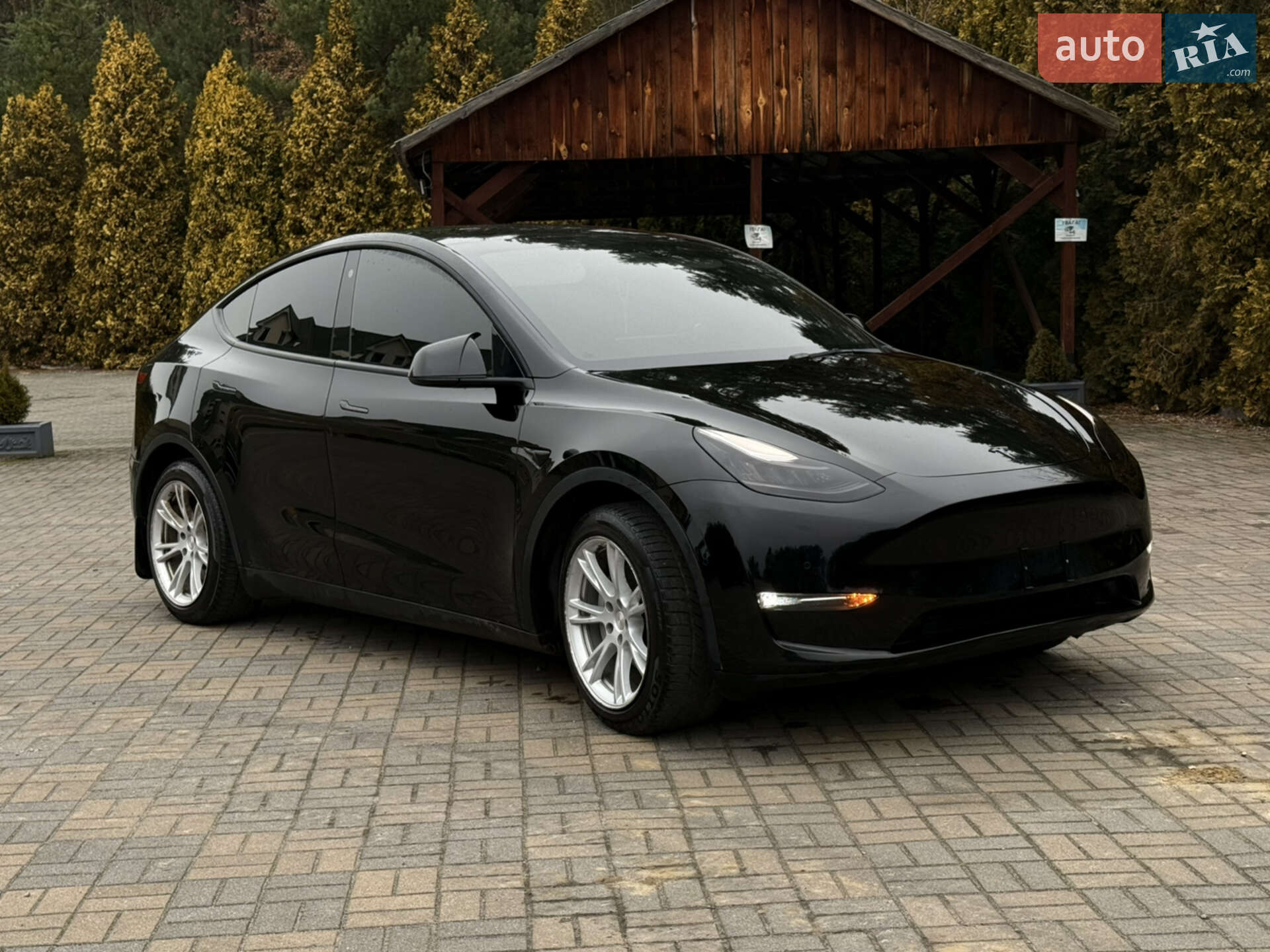 Головне фото звіту автомобіля TESLA MODEL Y 2021