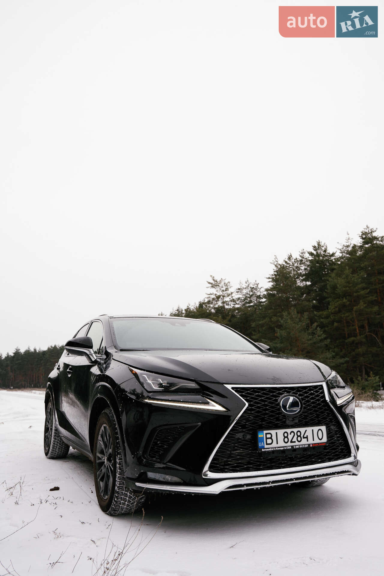 LEXUS NX 300 2020
