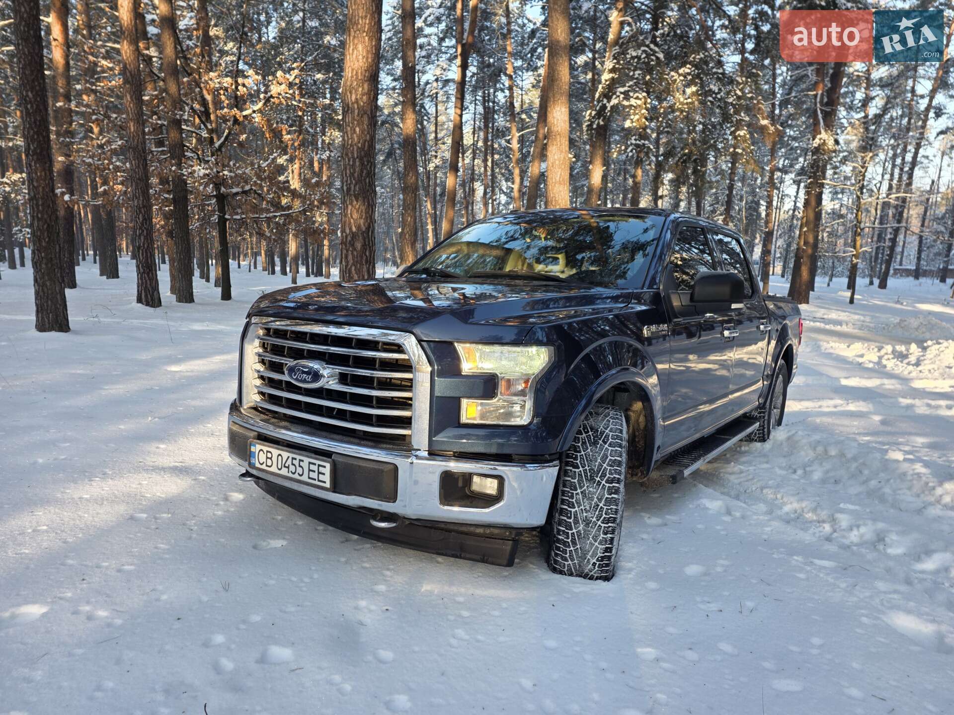 FORD F 150 2017