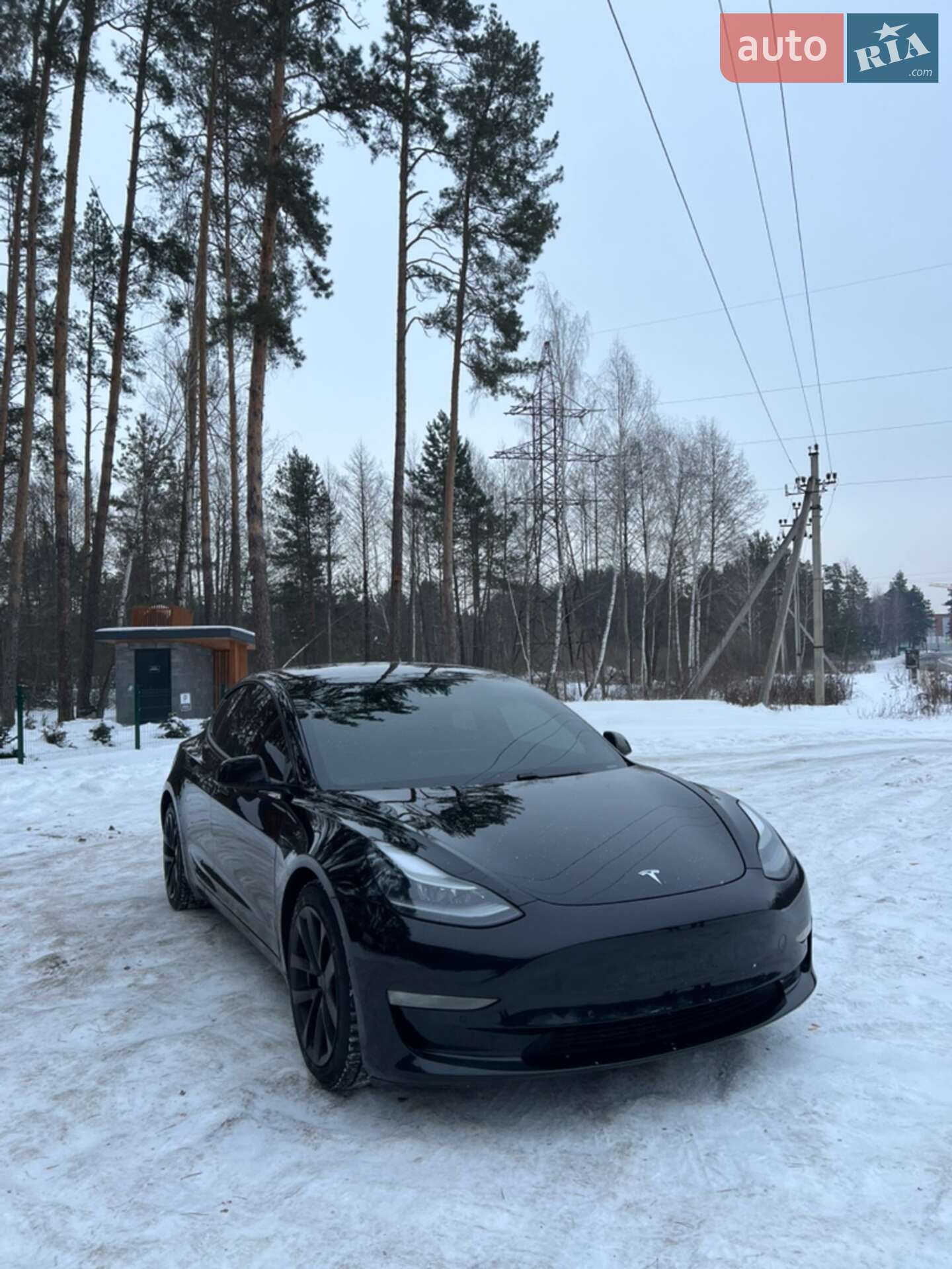 Головне фото звіту автомобіля TESLA MODEL 3 2021
