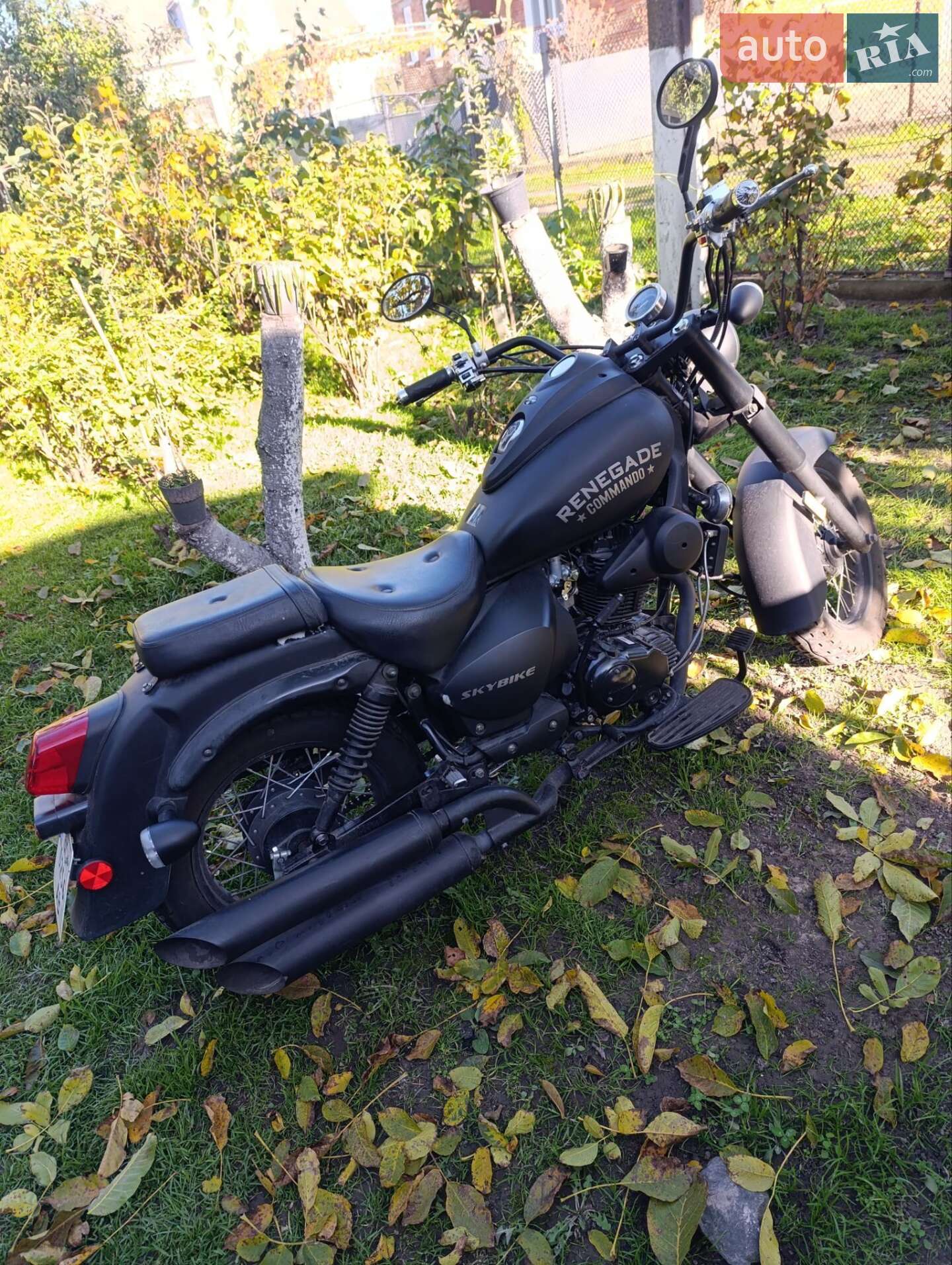 SKYBIKE 250-4 2017