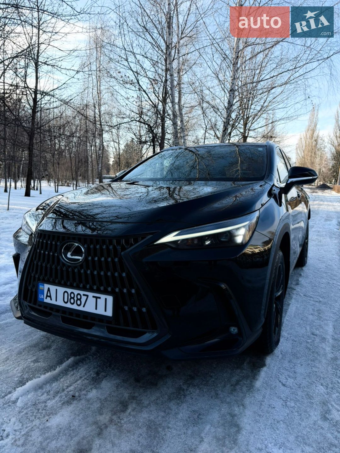 LEXUS NX 350H 2025