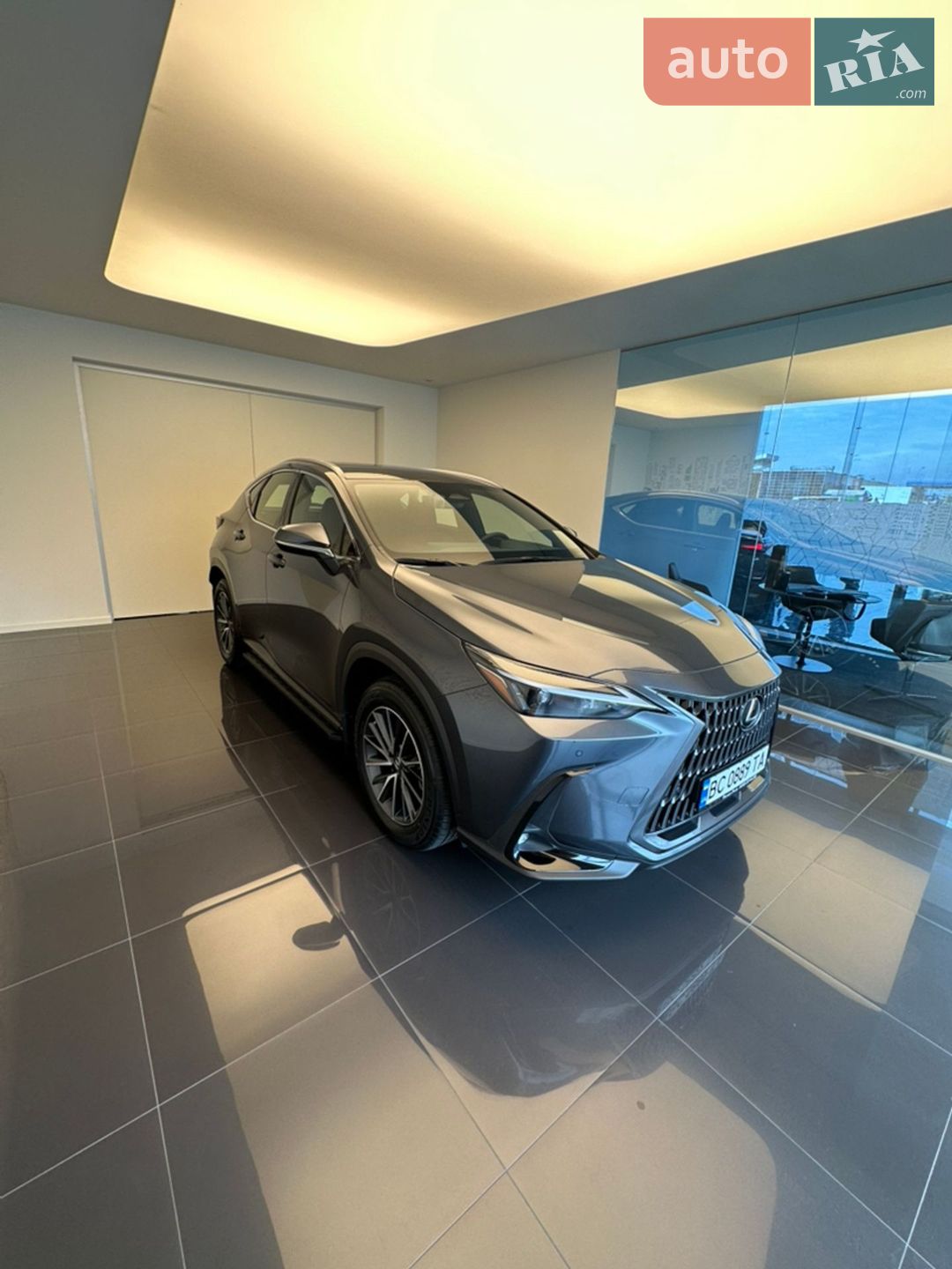 LEXUS NX 250 2022