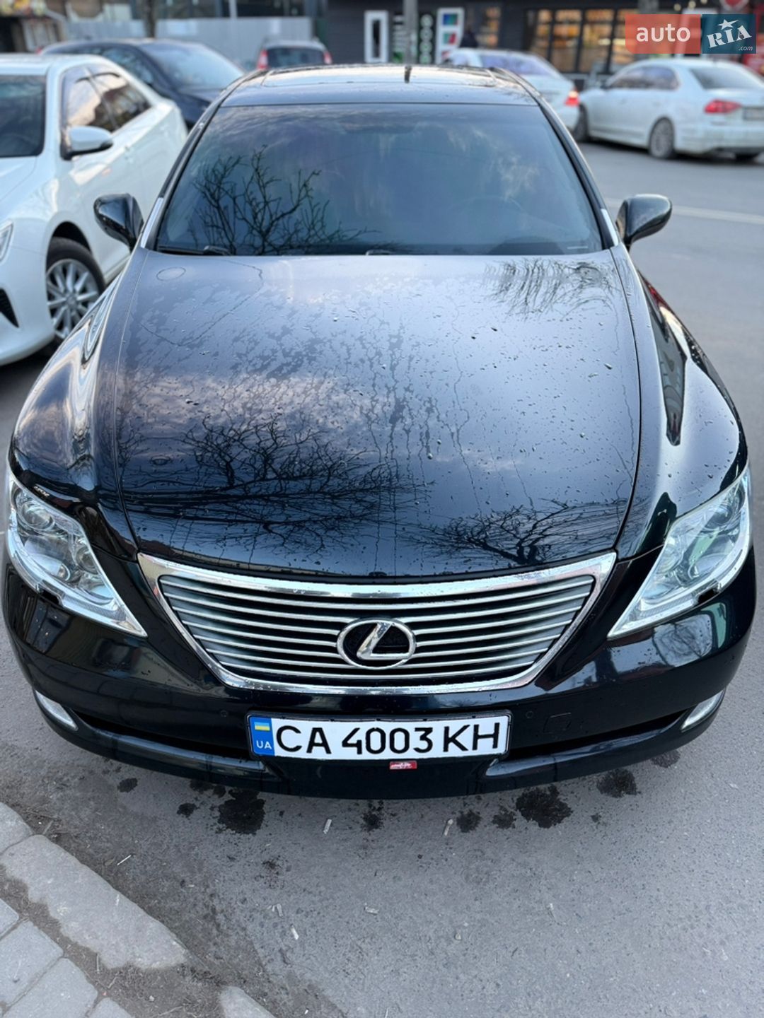 LEXUS LS 460 2006